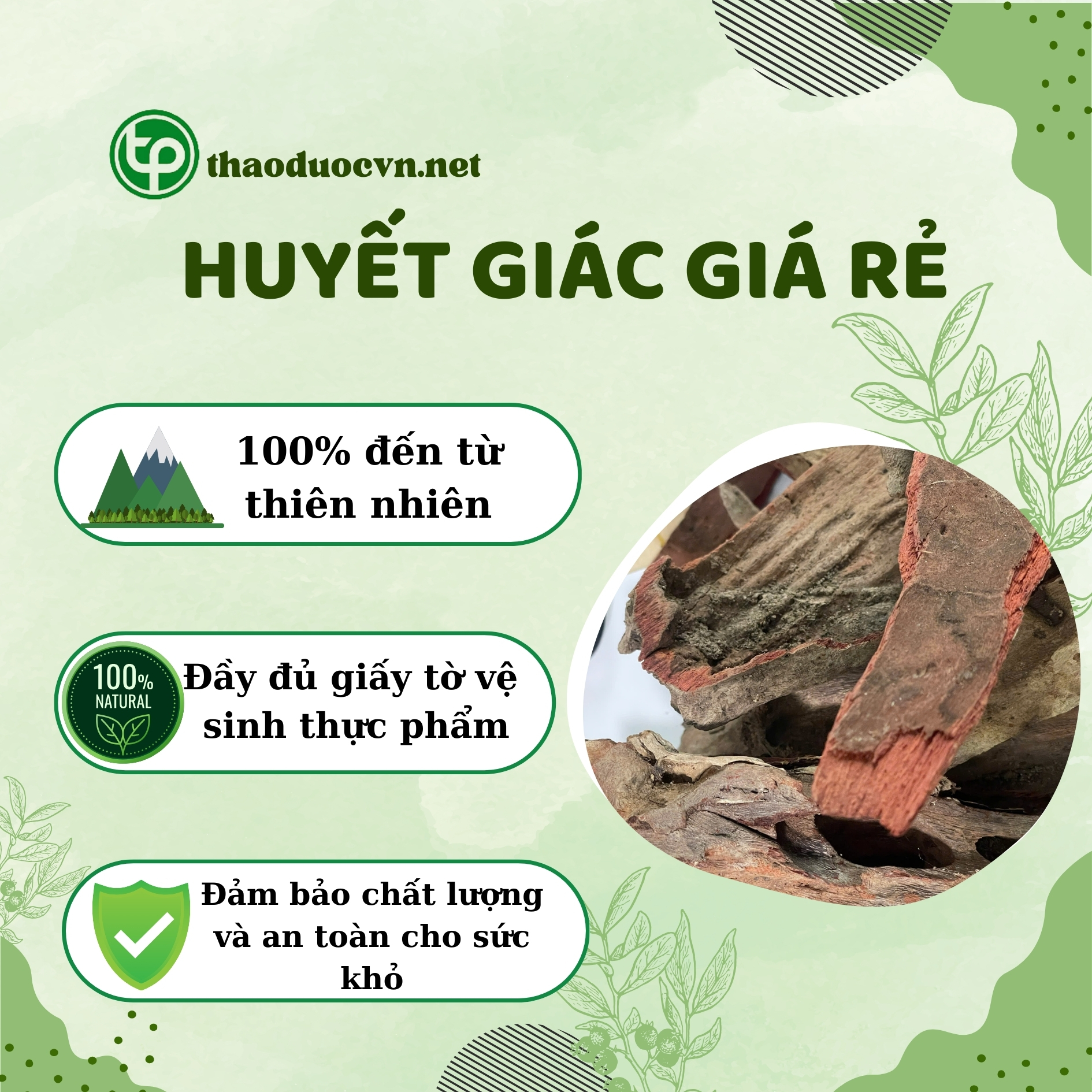 Tấn Phát là địa chỉ bán huyết giác giá rẻ tại HCM