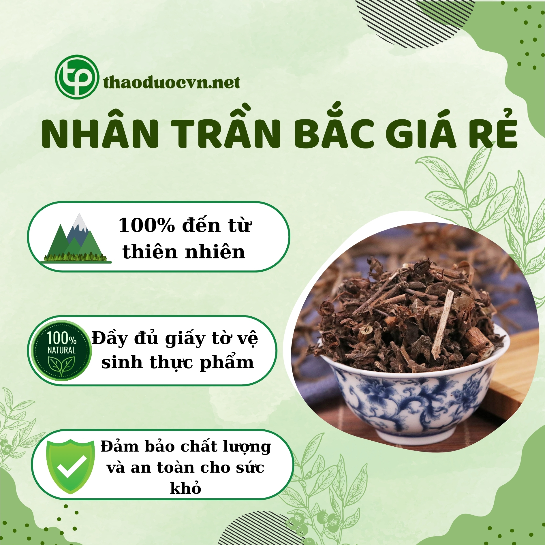 Tấn Phát - địa chỉ bán nhân trần bắc giá rẻ tại HCM