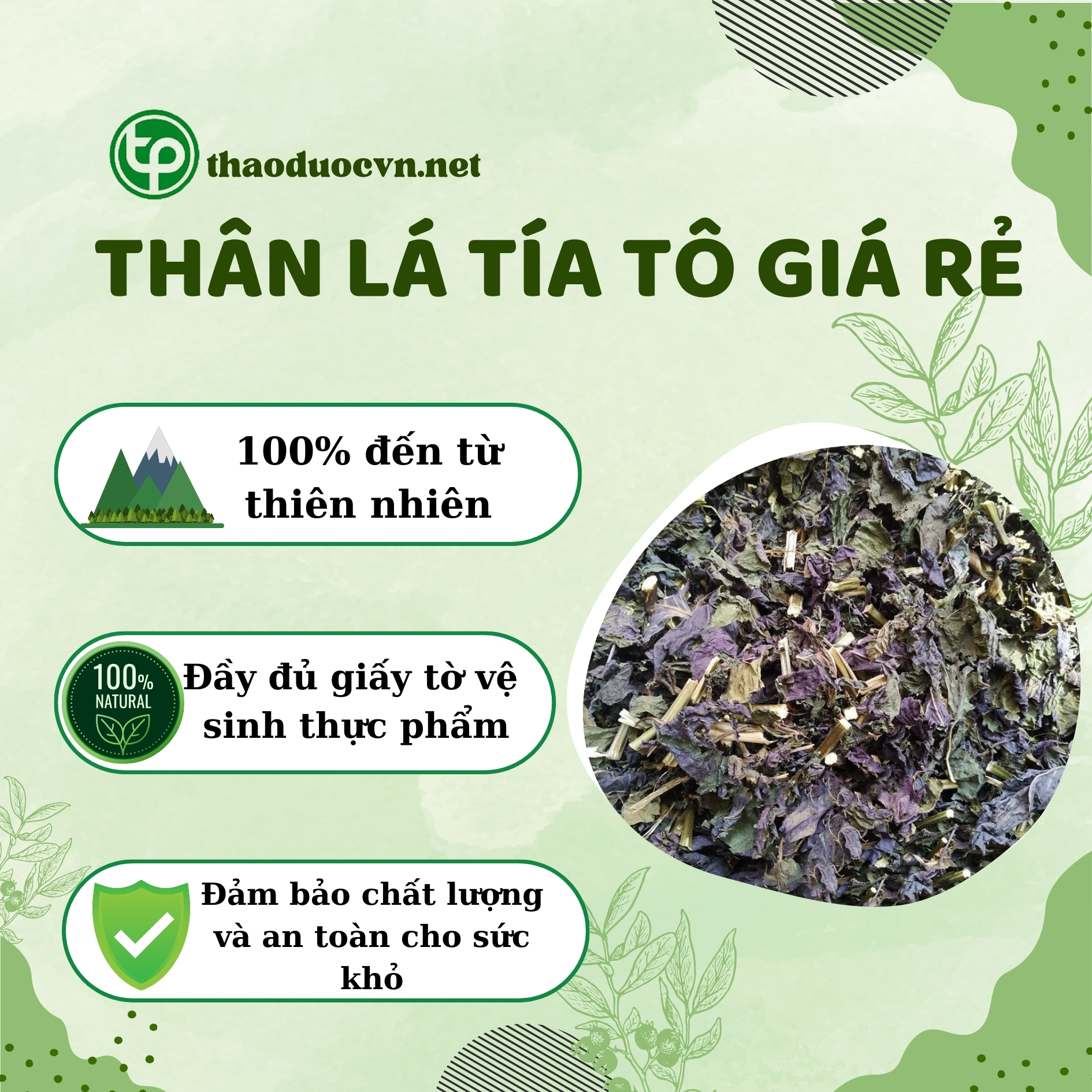 Địa chỉ bán thân lá tía tô giá rẻ tại HCM ở đâu ?