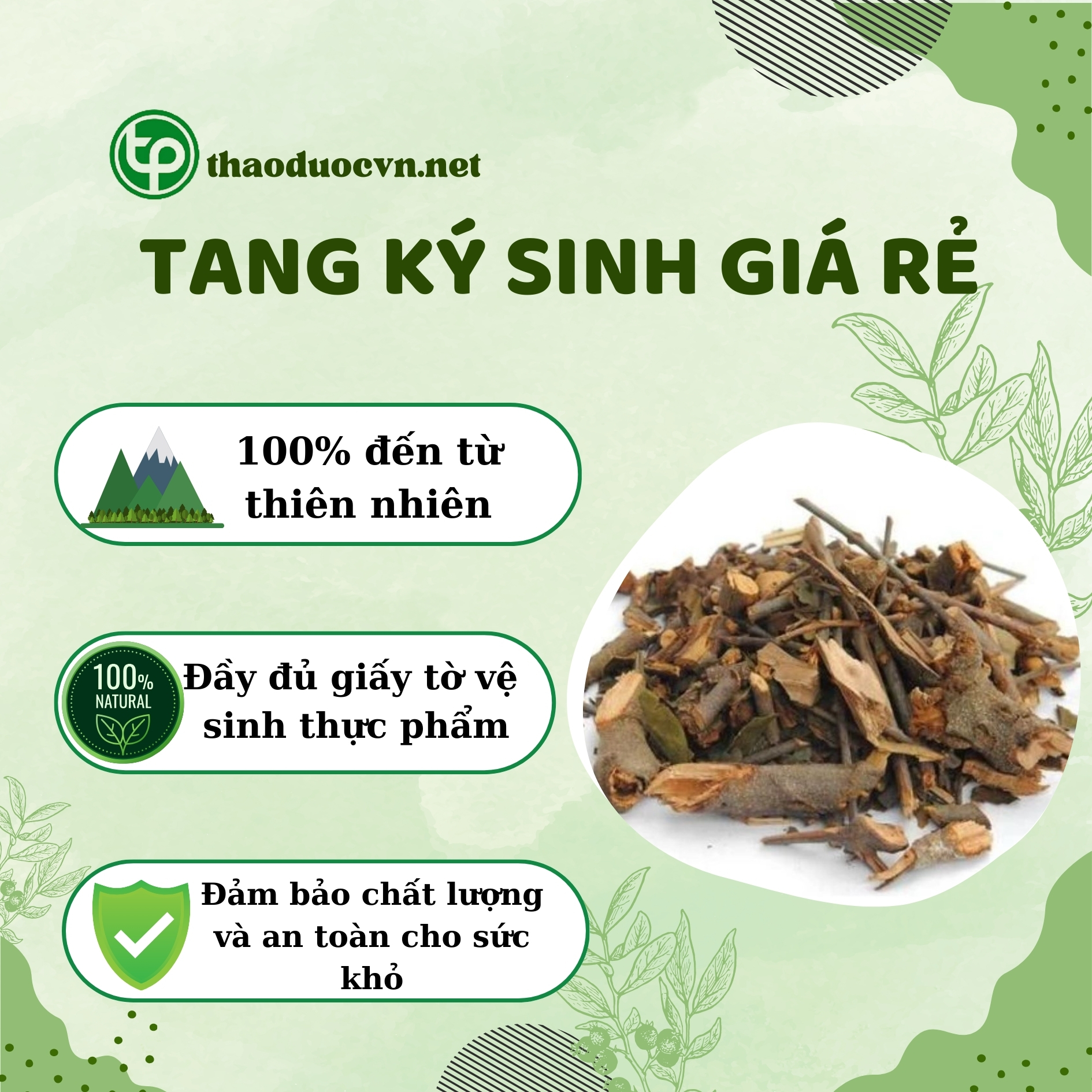 Lợi ích khi mua tang ký sinh giá rẻ Tấn Phát
