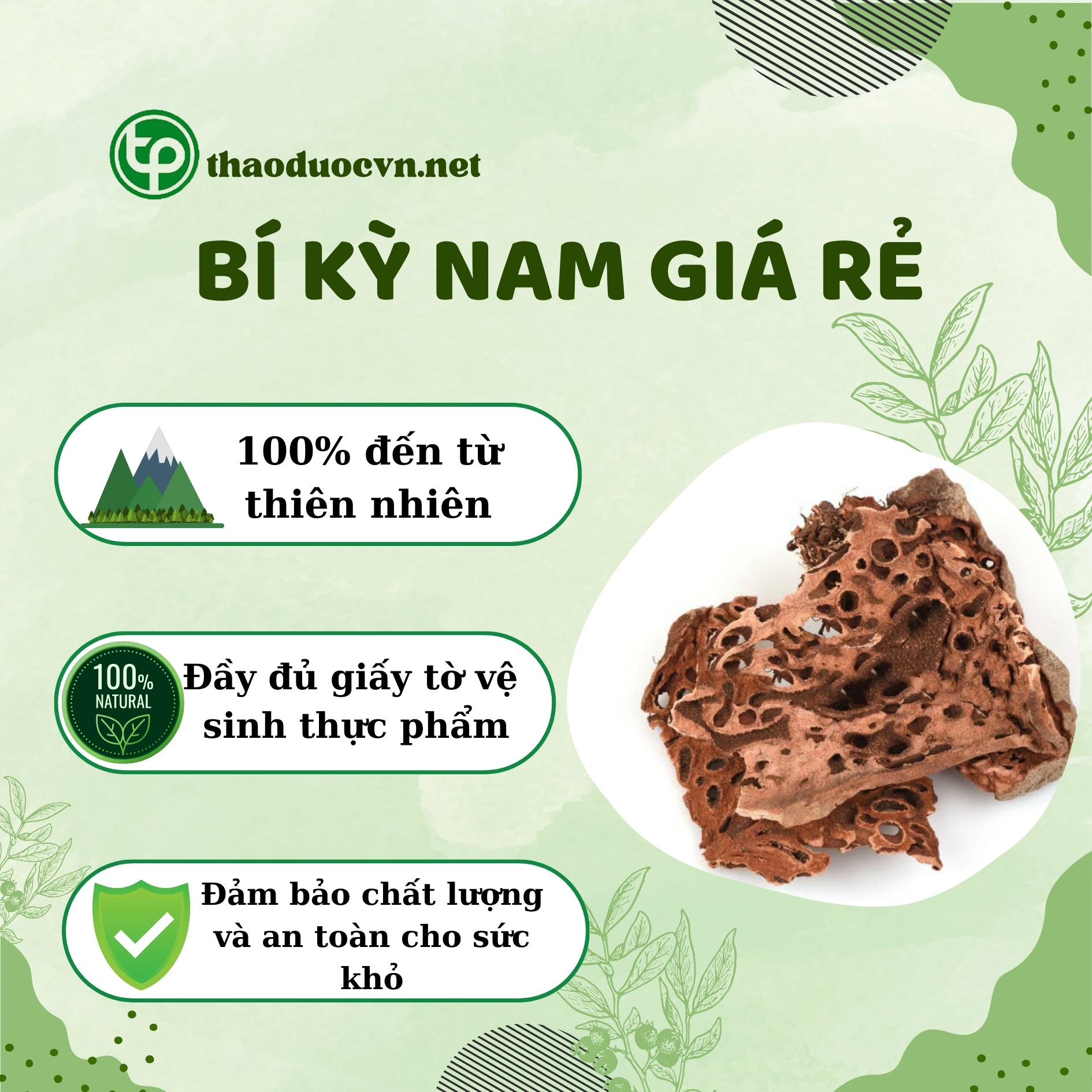 Tấn Phát là địa chỉ bán bí kỳ nam giá rẻ tại HCM