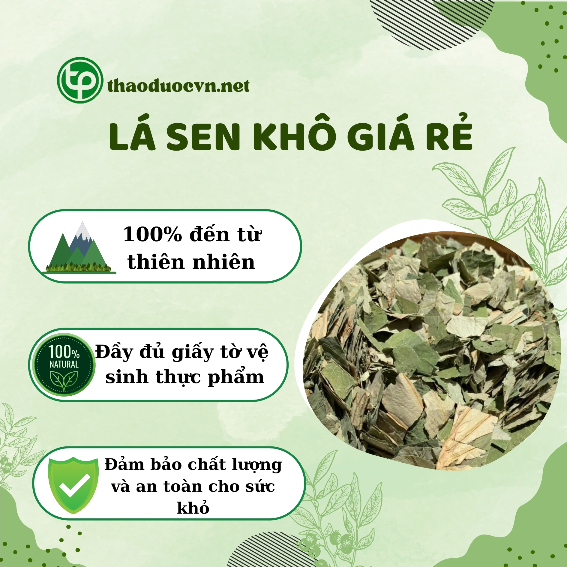 Cam kết khi mua lá sen khô giá rẻ Tấn Phát