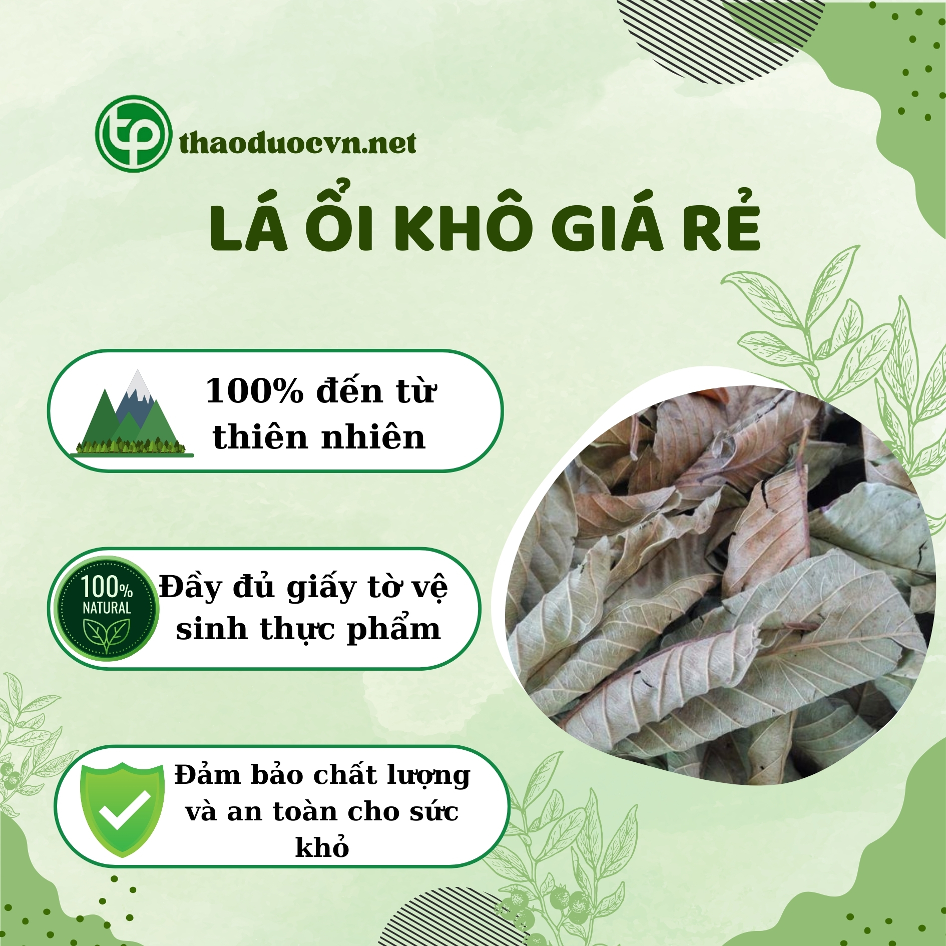 Chính sách ưu đãi khi mua lá ổi khô giá rẻ tại Tấn Phát