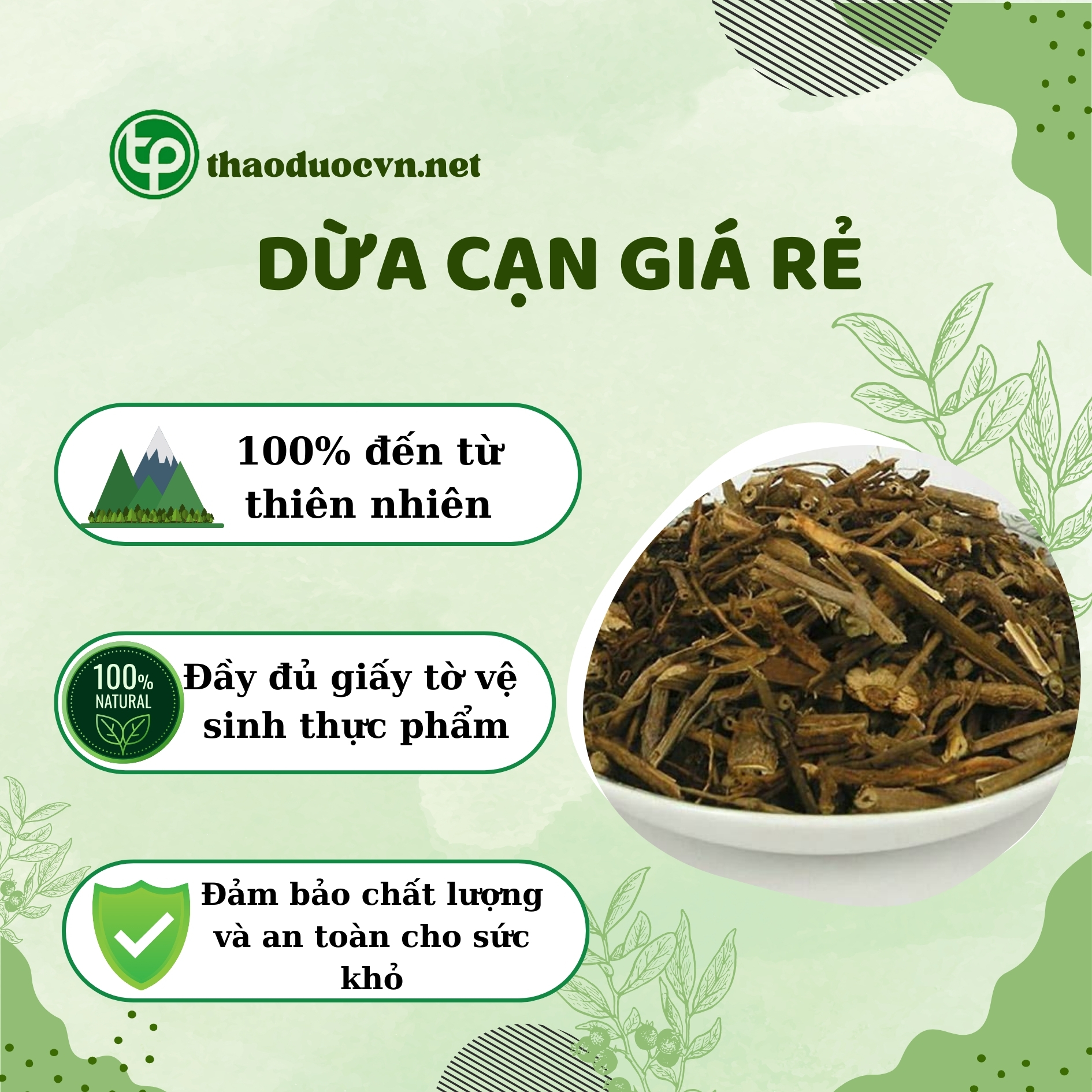 Tấn Phát là địa chỉ bán dừa cạn giá rẻ tại TP.HCM uy tín