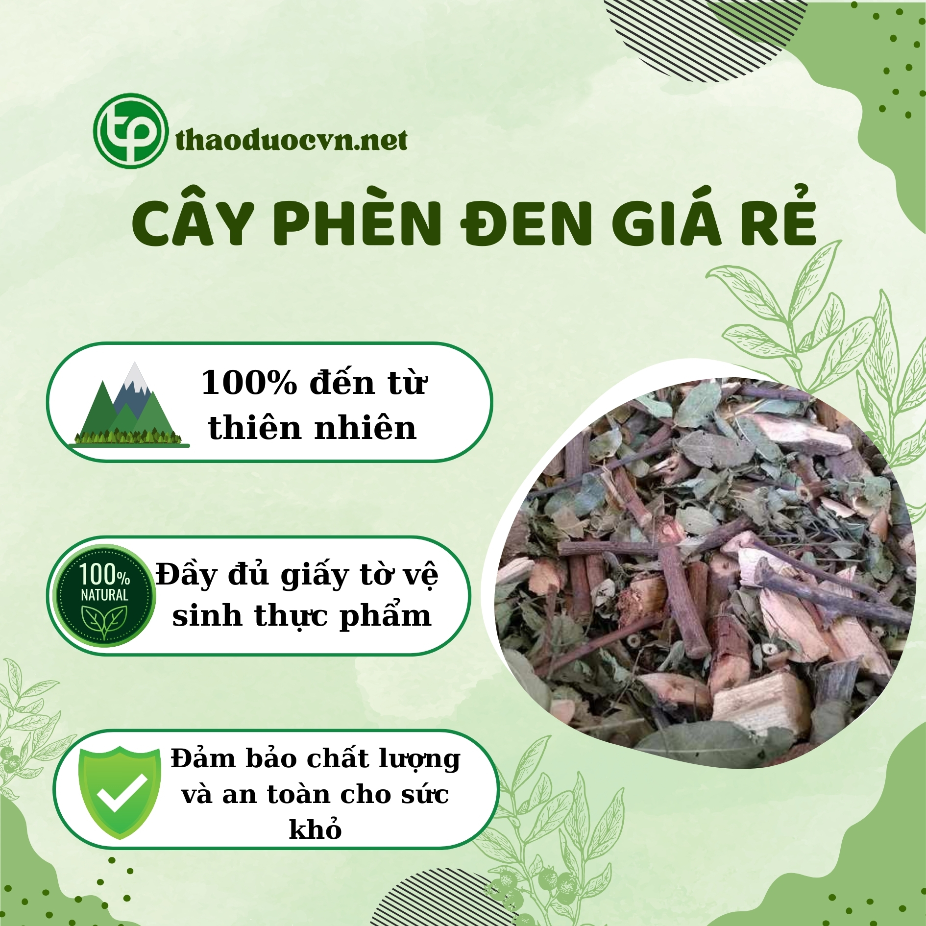 Cam kết khi mua cây phèn đen giá rẻ Tấn Phát