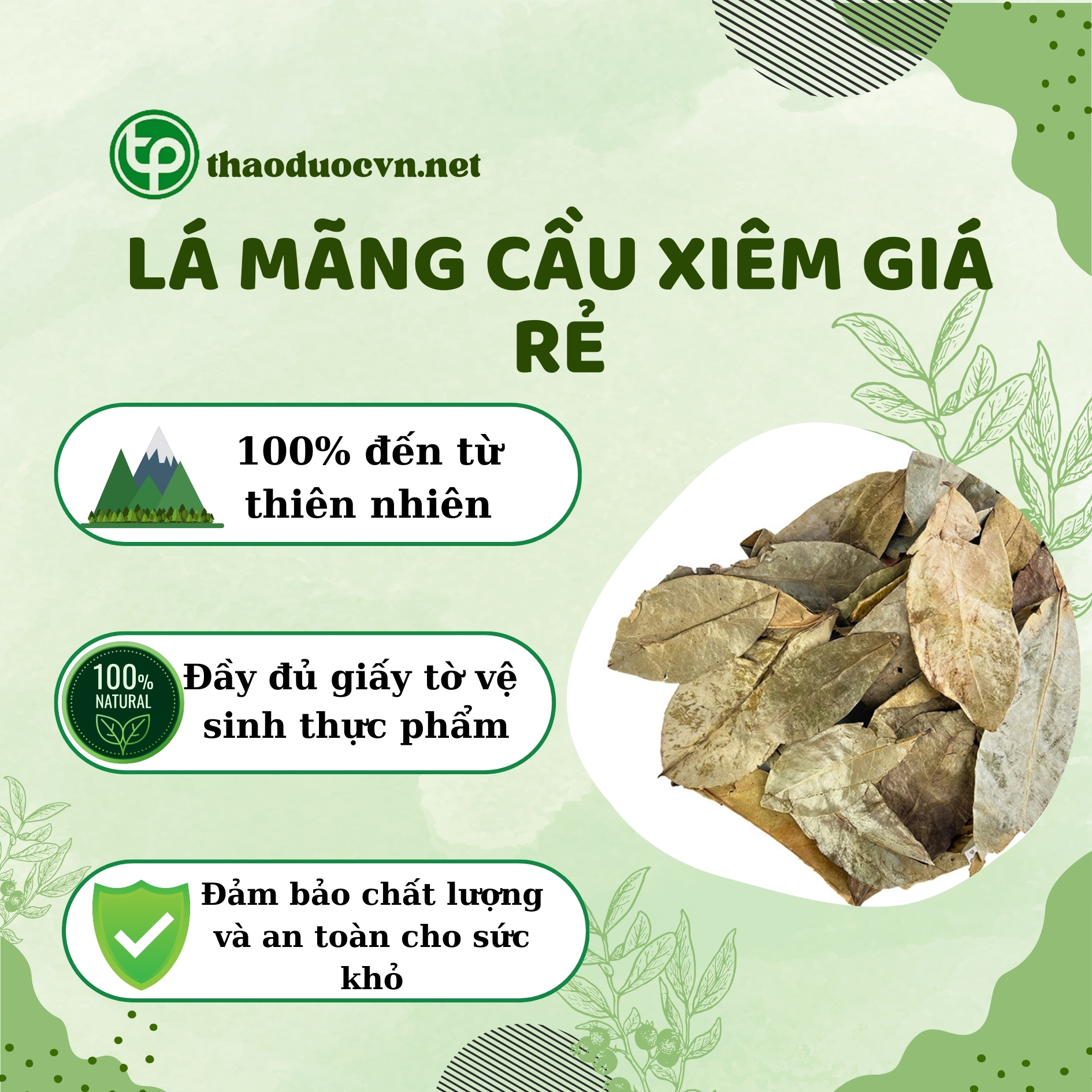 Cam kết khi mua lá mãng cầu xiêm giá rẻ tại Tấn Phát