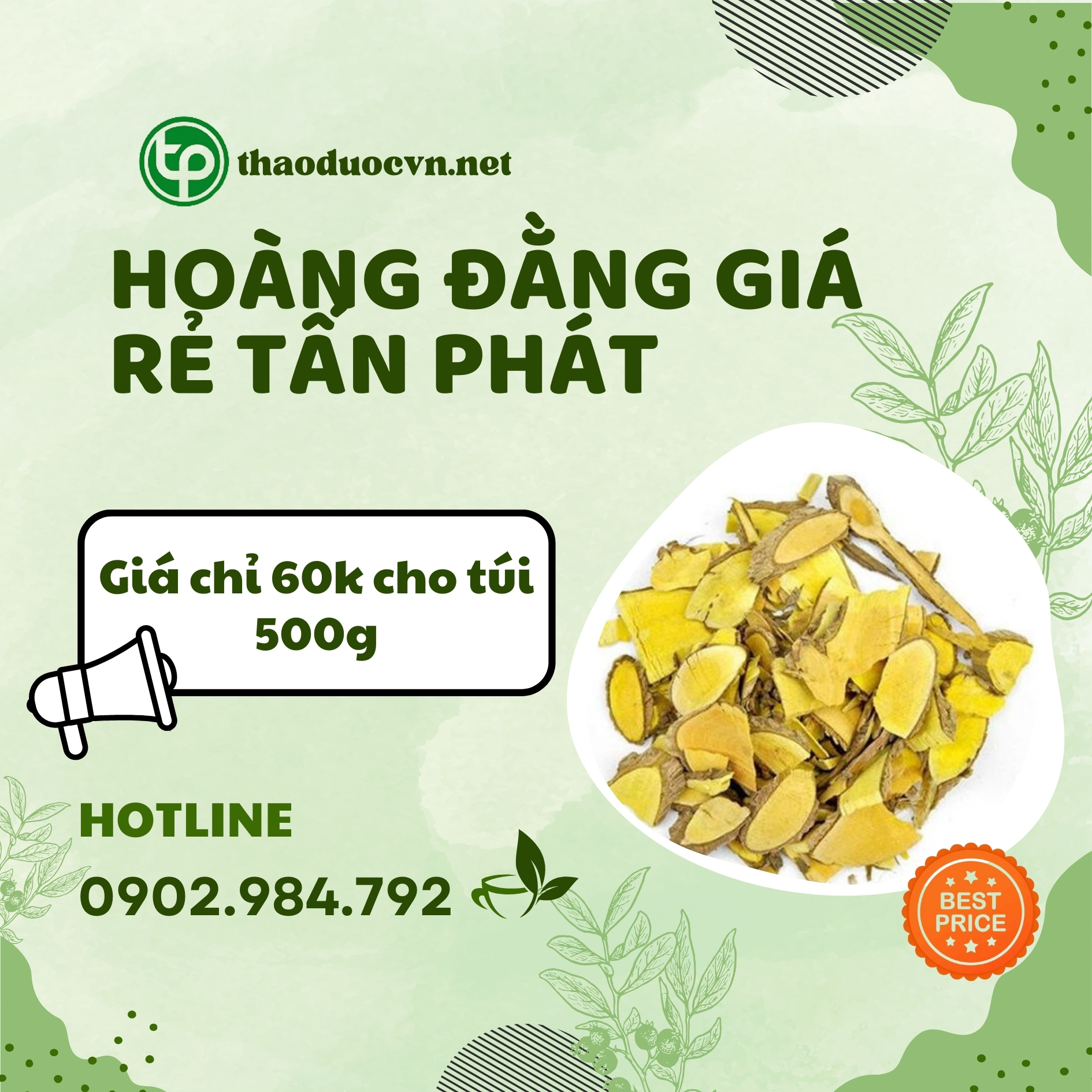 Sản phẩm hoàng đằng giá rẻ Tấn Phát