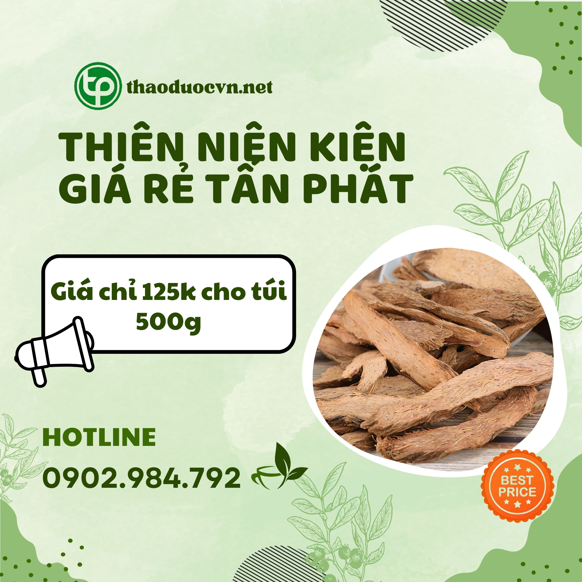 Sản phẩm thiên niên kiện giá rẻ Tấn Phát