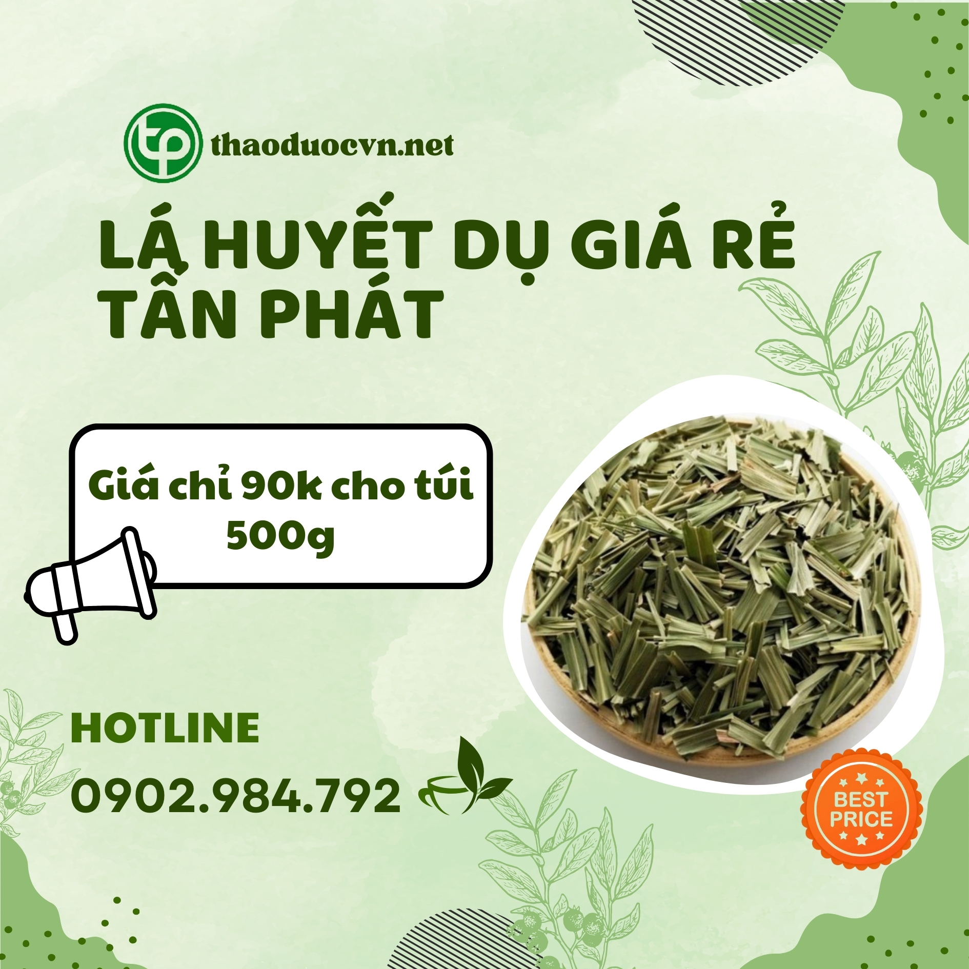 Sản phẩm lá huyết dụ giá rẻ tại Tấn Phát