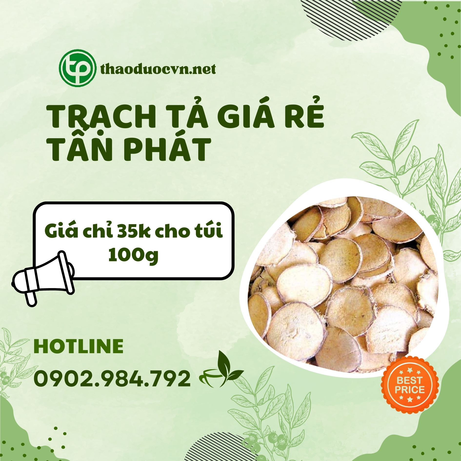 Sản phẩm trạch tả giá rẻ Tấn Phát