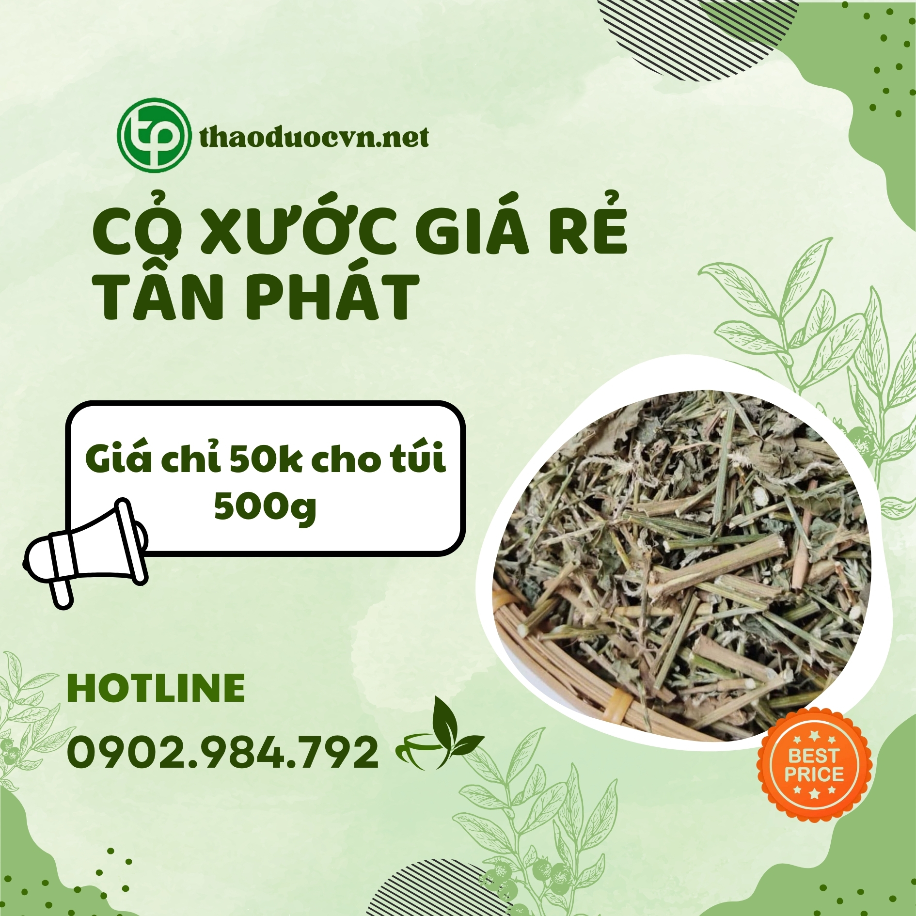 Sản phẩm cỏ xước giá rẻ tại Tấn Phát