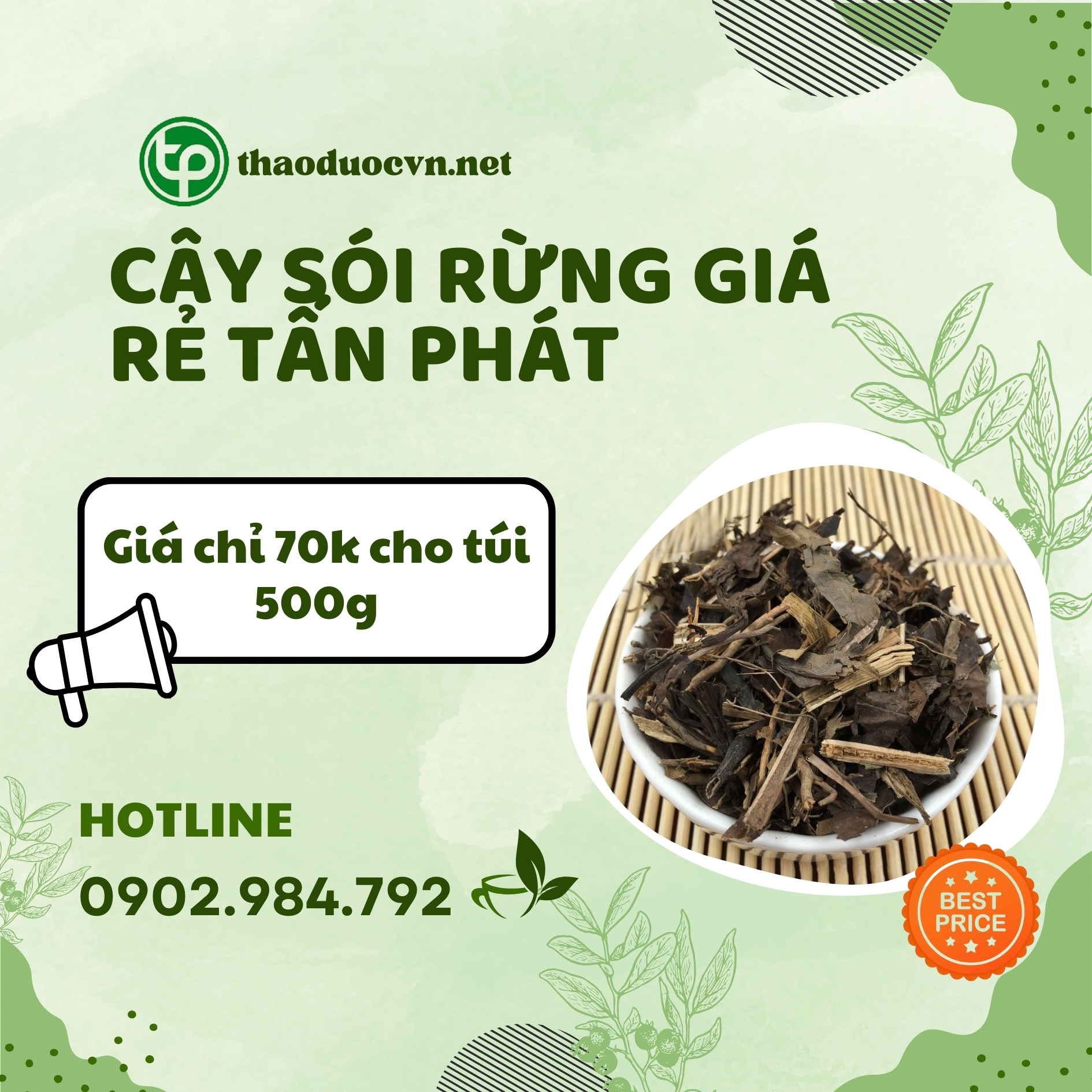 Sản phẩm cây sói rừng giá rẻ Tấn Phát