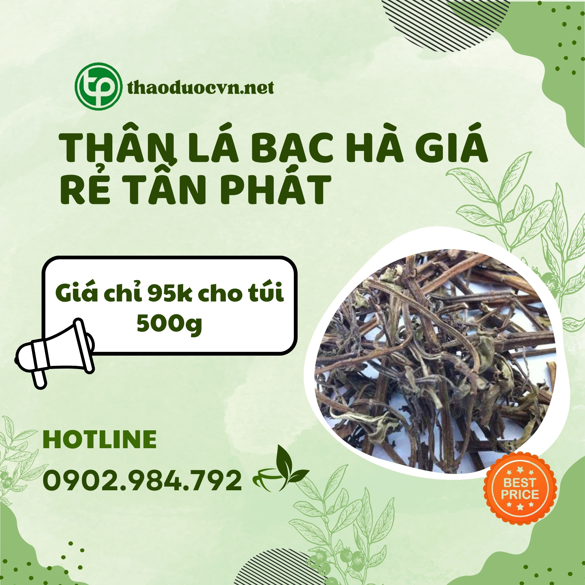 Sản phẩm thân lá bạc hà giá rẻ Tấn Phát