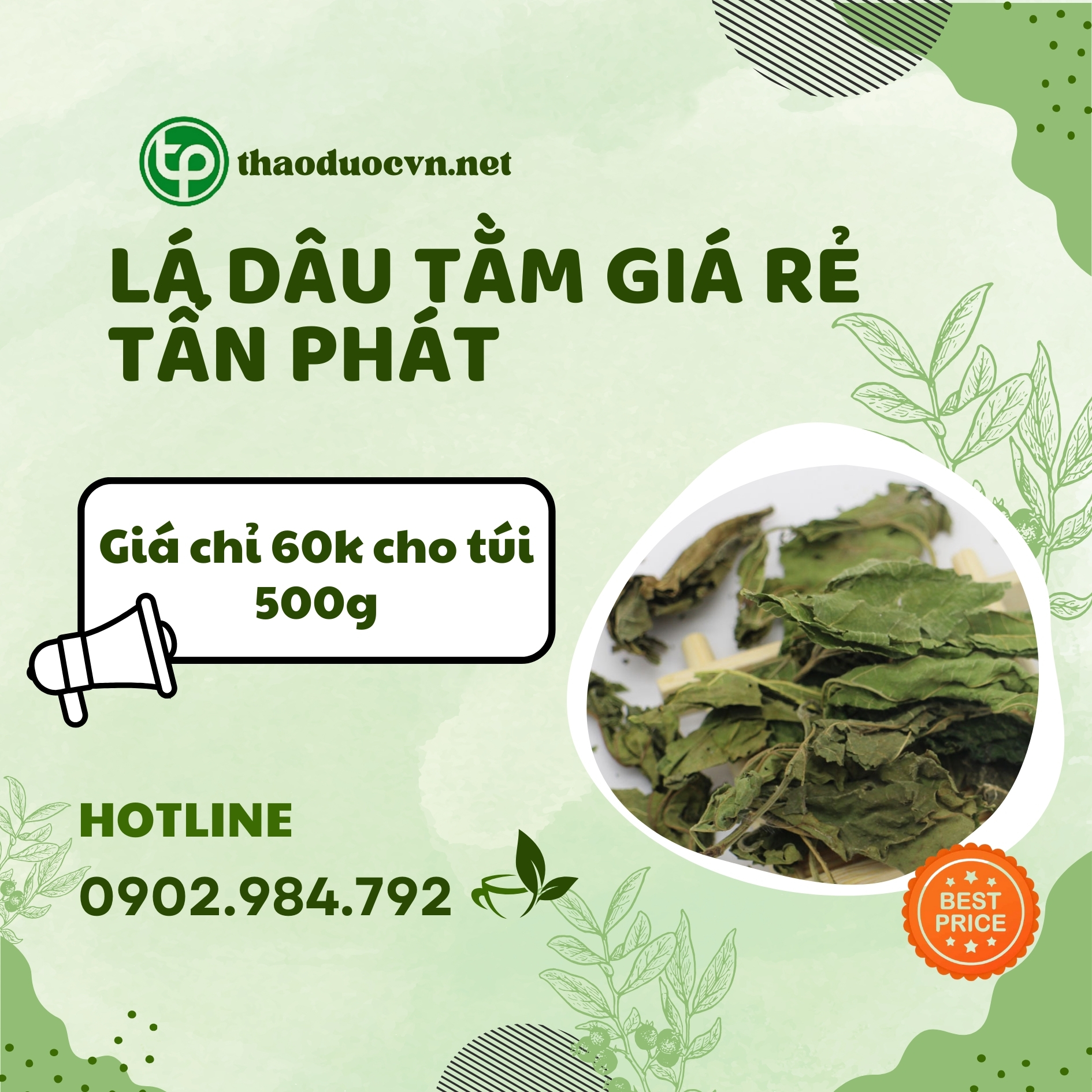 Sản phẩm lá dâu tằm giá rẻ Tắn Phát