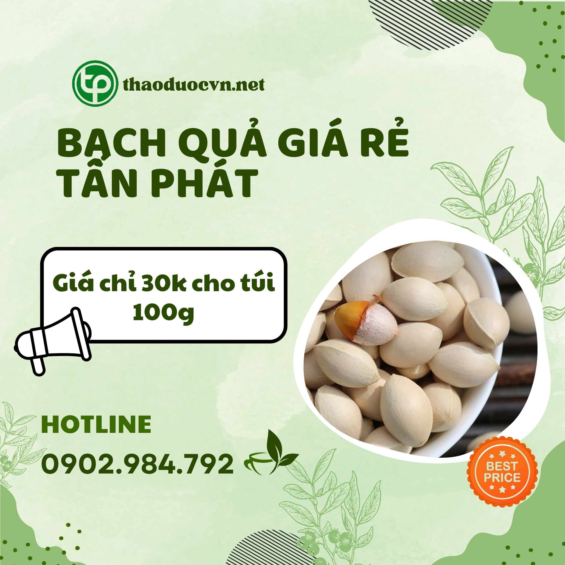 Sản phẩm bạch quả giá rẻ Tấn Phát