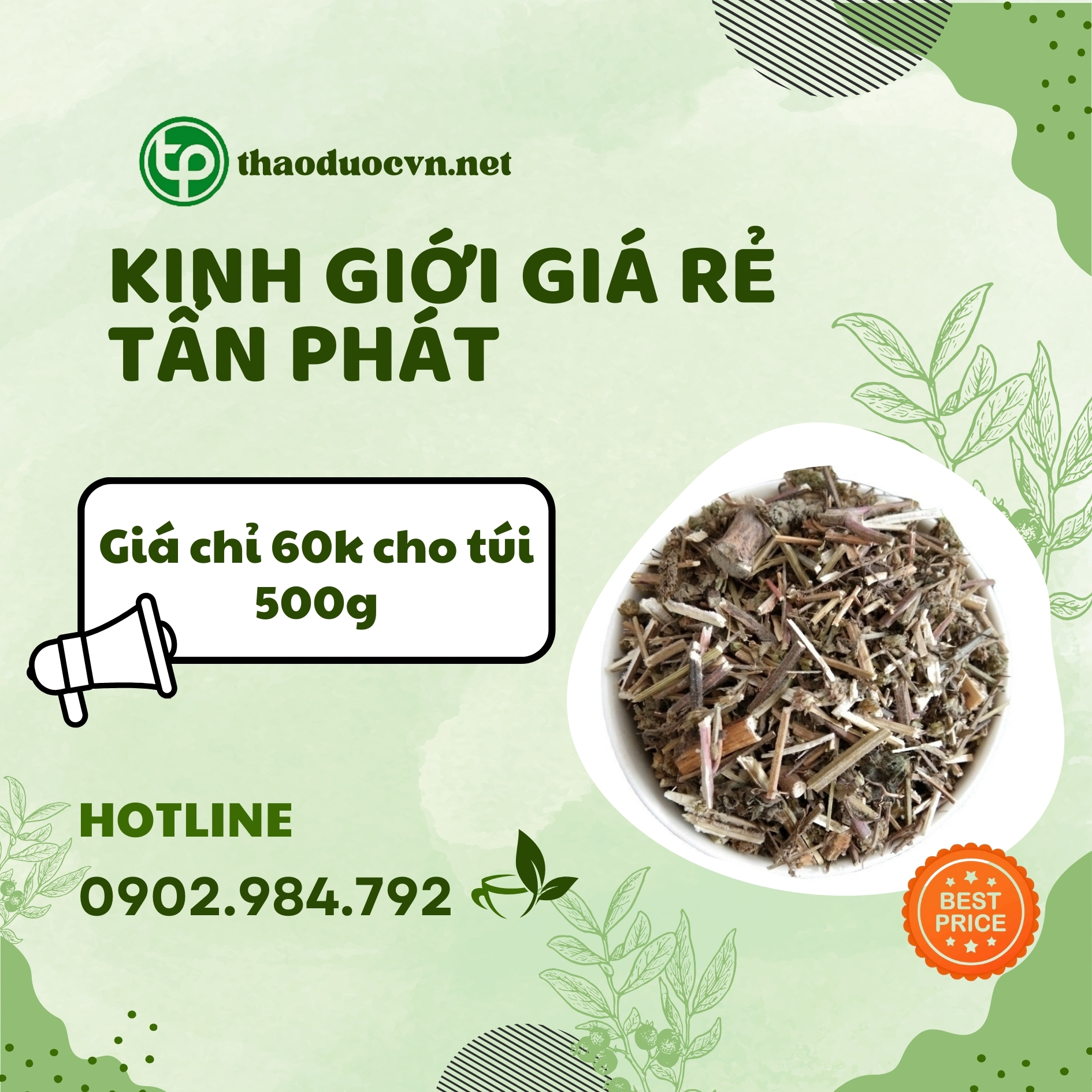 Sản phẩm kinh giới giá rẻ Tấn Phát