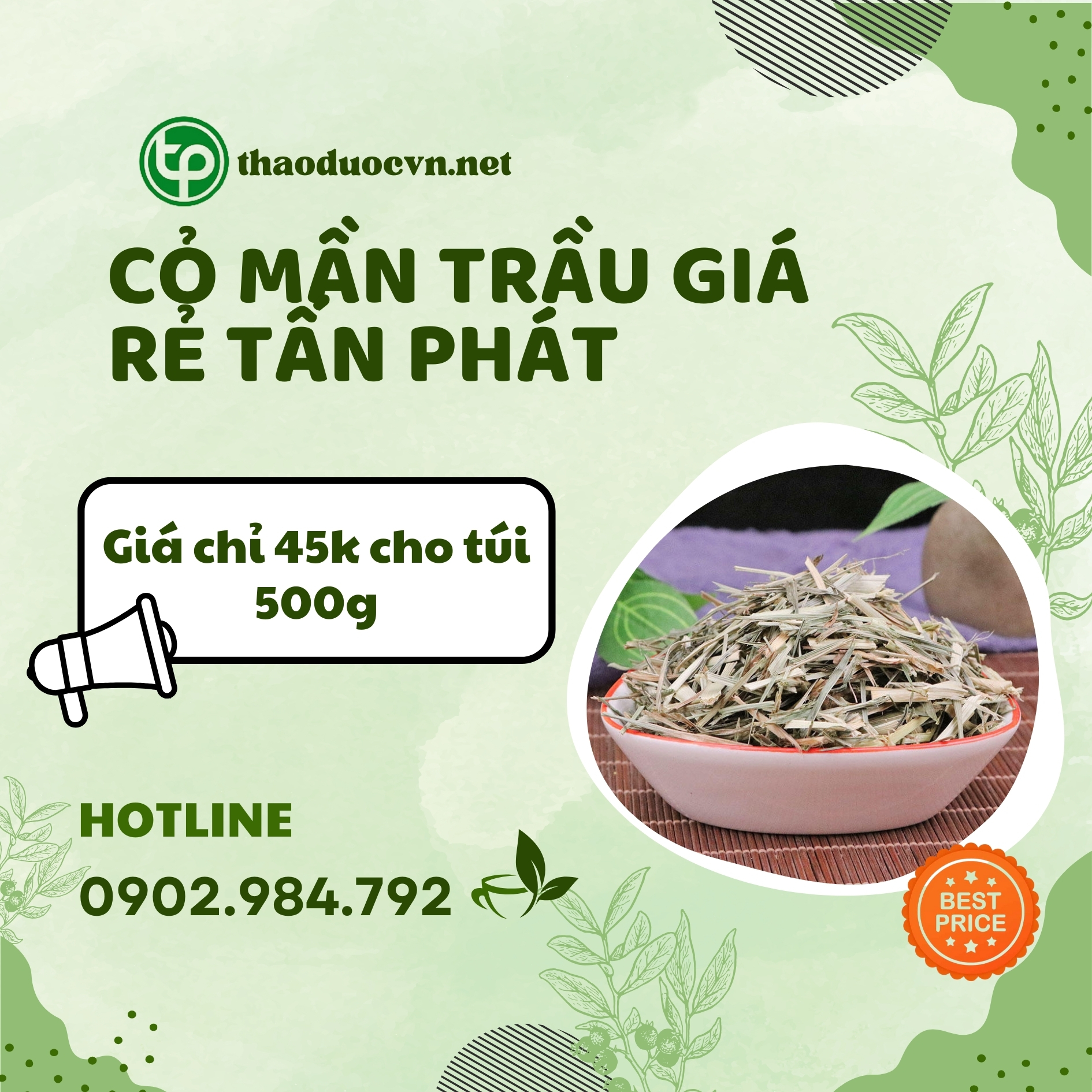 Sản phẩm cỏ mần trầu giá rẻ tại Tấn Phát