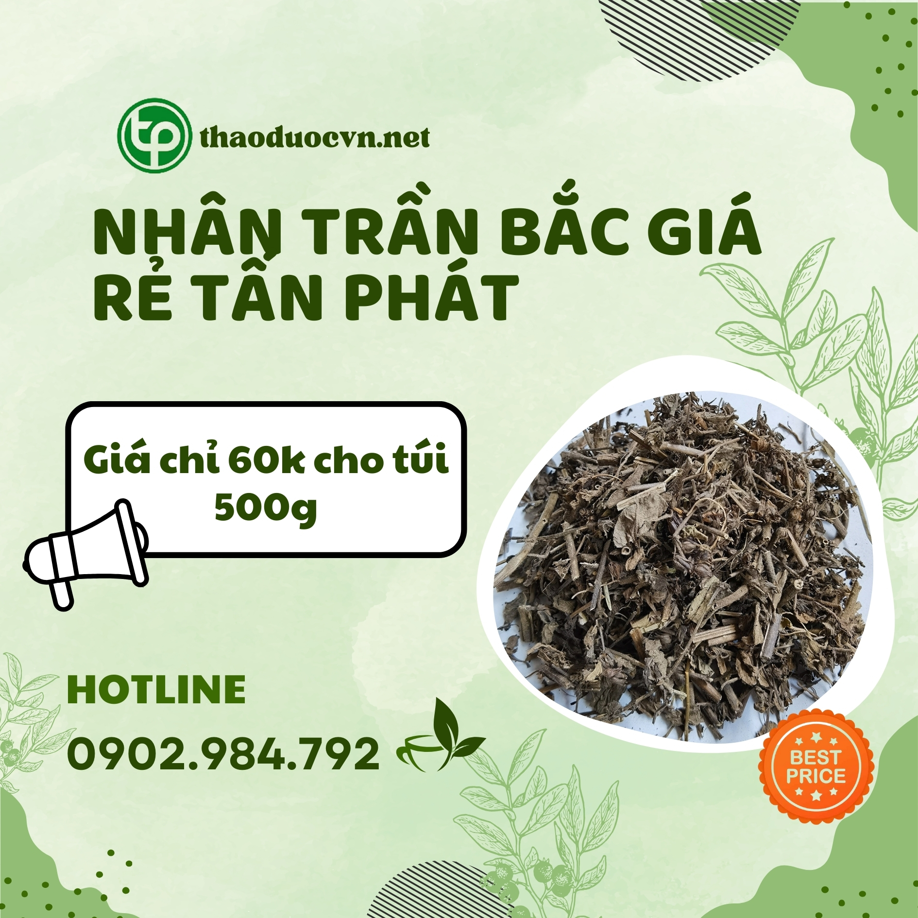 Sản phẩm nhân trần bắc giá rẻ tại Tấn Phát