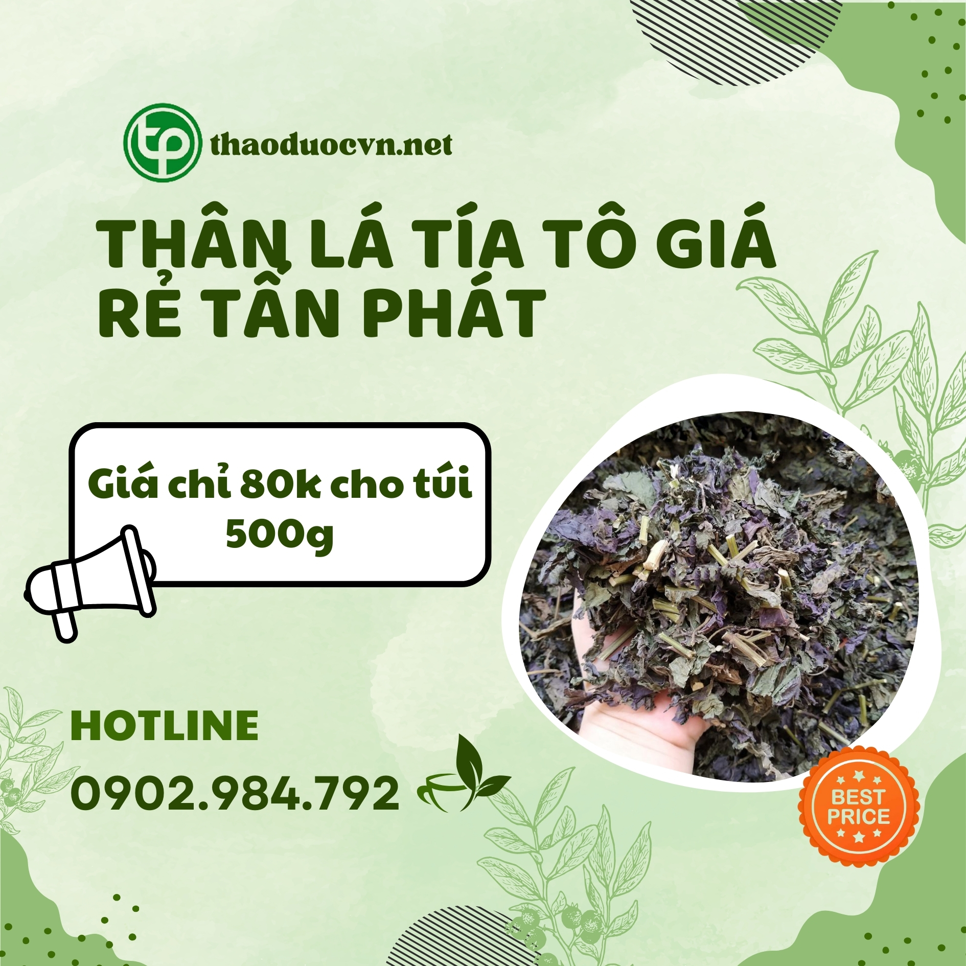 Sản phẩm thân lá tía tô giá rẻ Tấn Phát