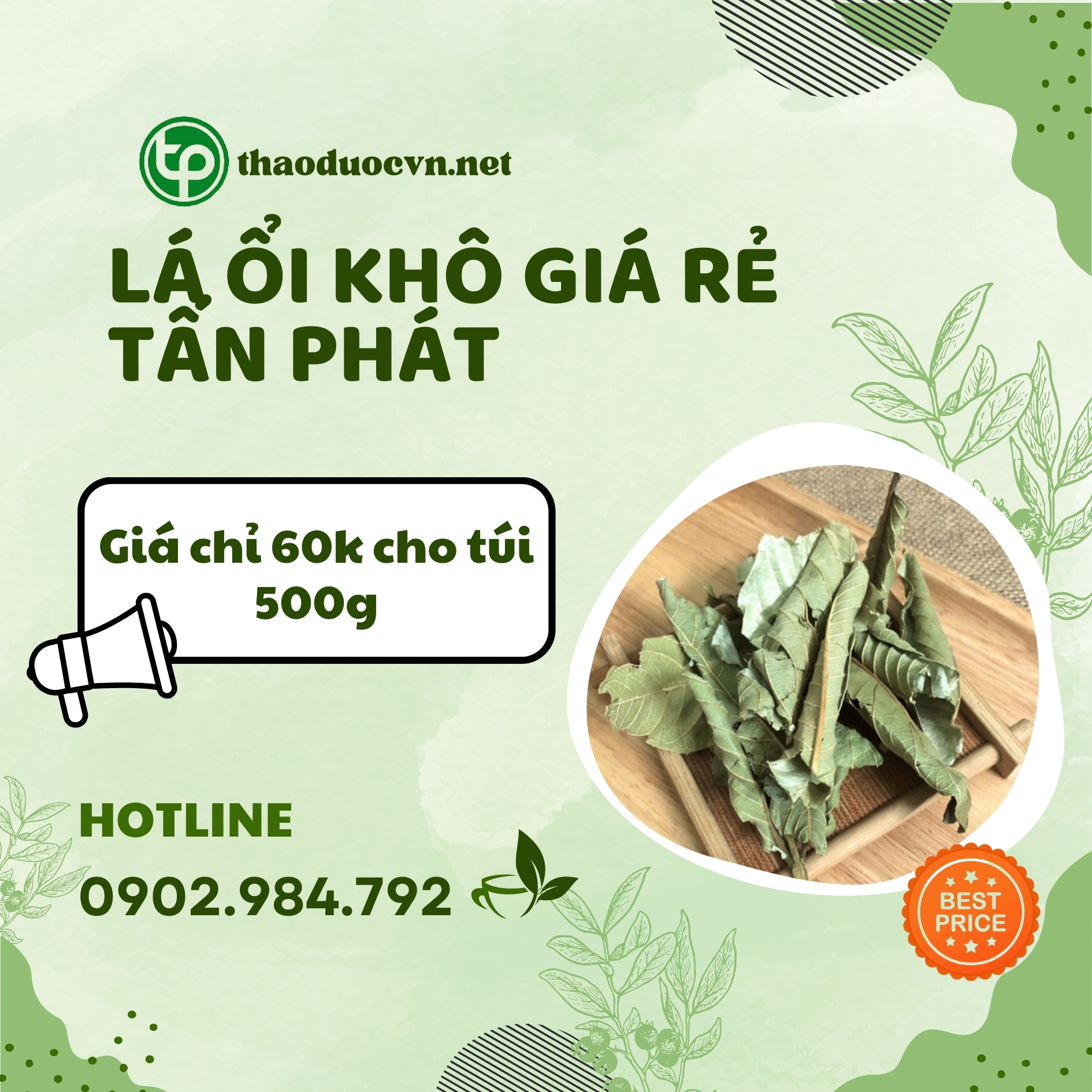 Sản phẩm lá ổi khô giá rẻ tại Tấn Phát