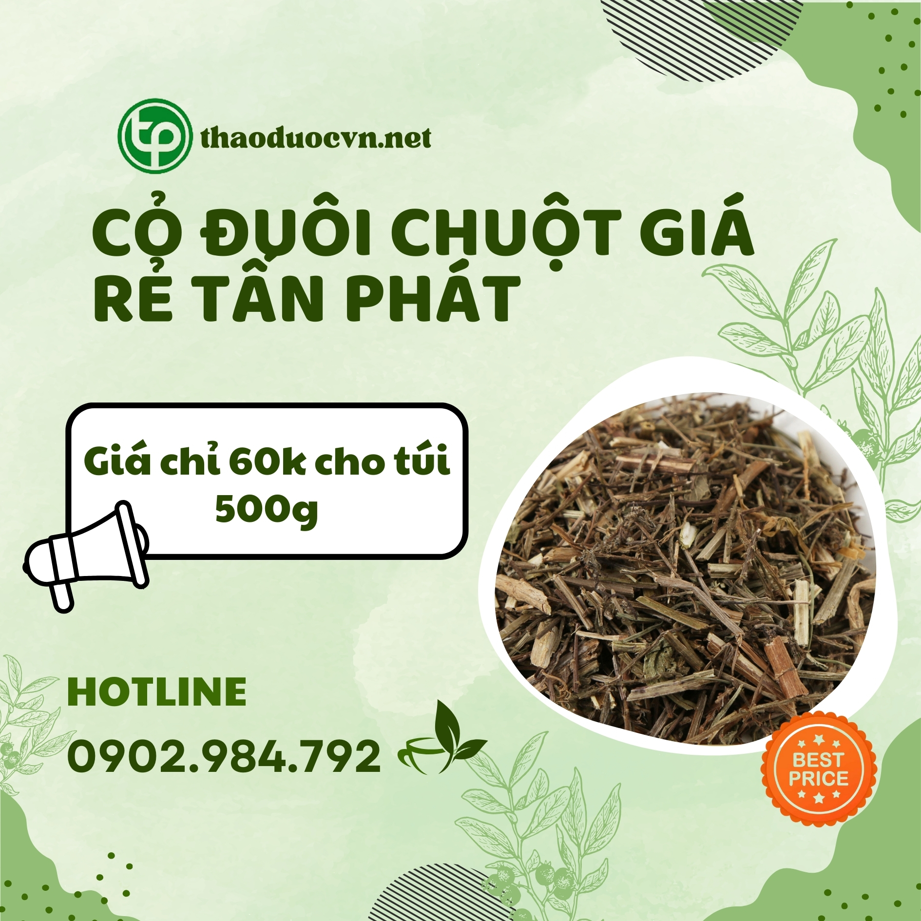 Sản phẩm cỏ đuôi chuột giá rẻ tại Tấn Phát