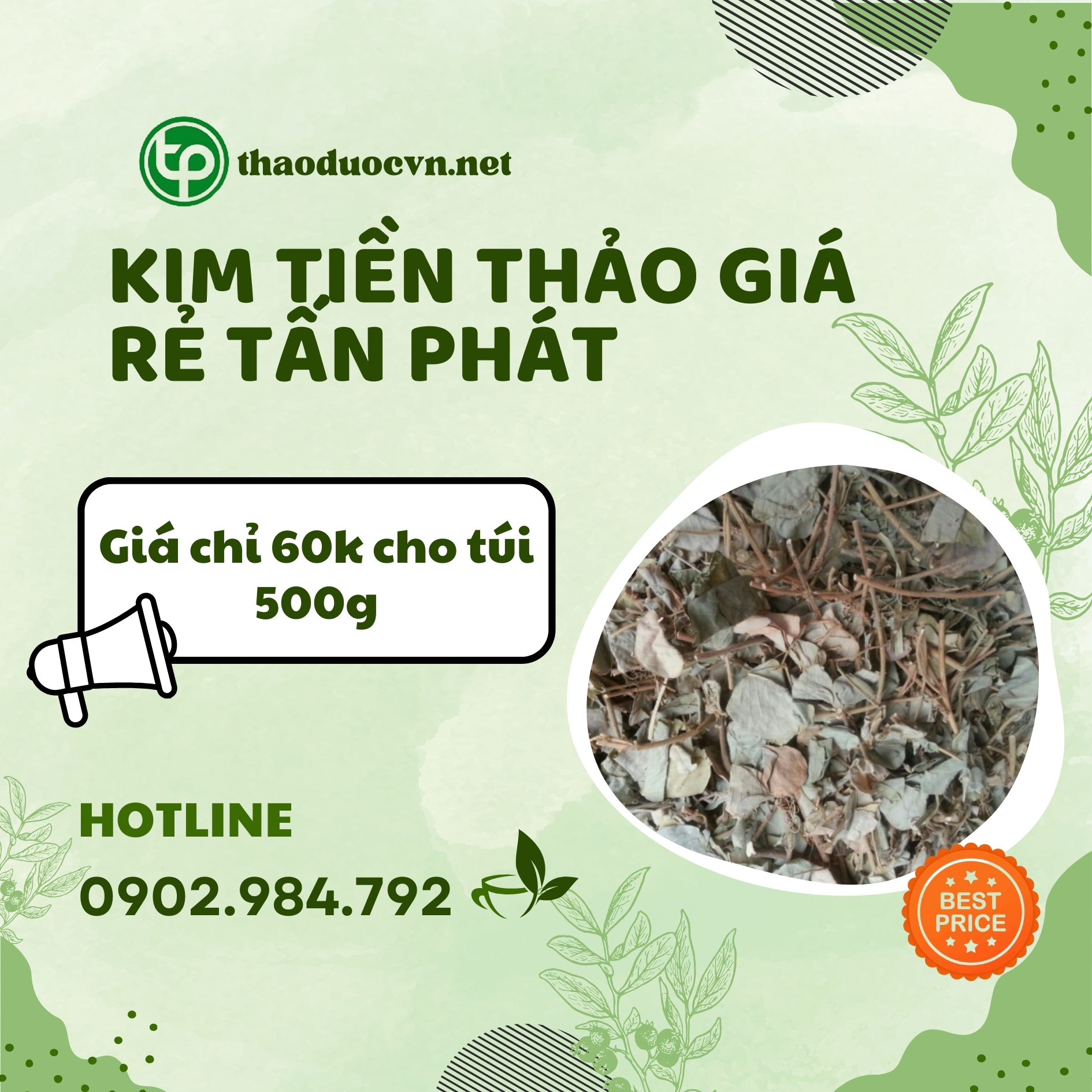 Sản phẩm kim tiền thảo giá rẻ tại Tấn Phát