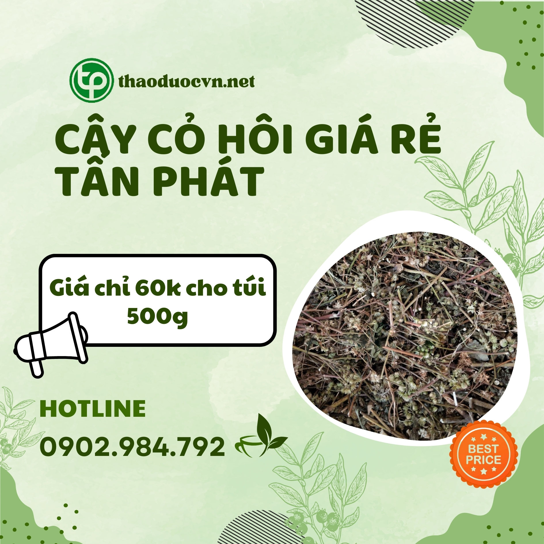 Sản phẩm cây cỏ hôi giá rẻ tại Tấn Phát