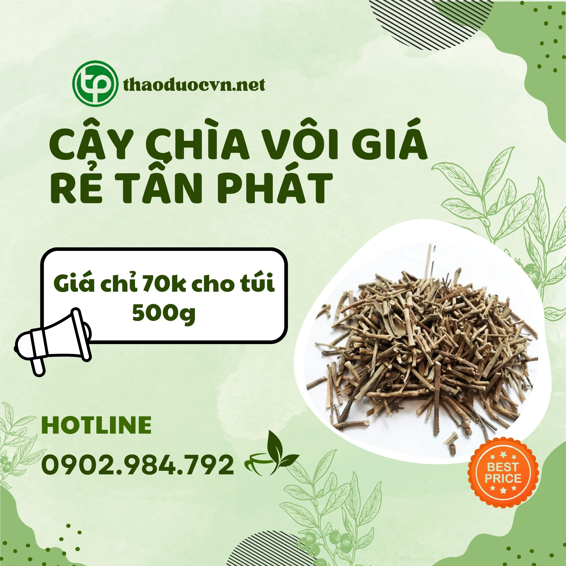 Sản phẩm cây chìa vôi giá rẻ Tấn Phát