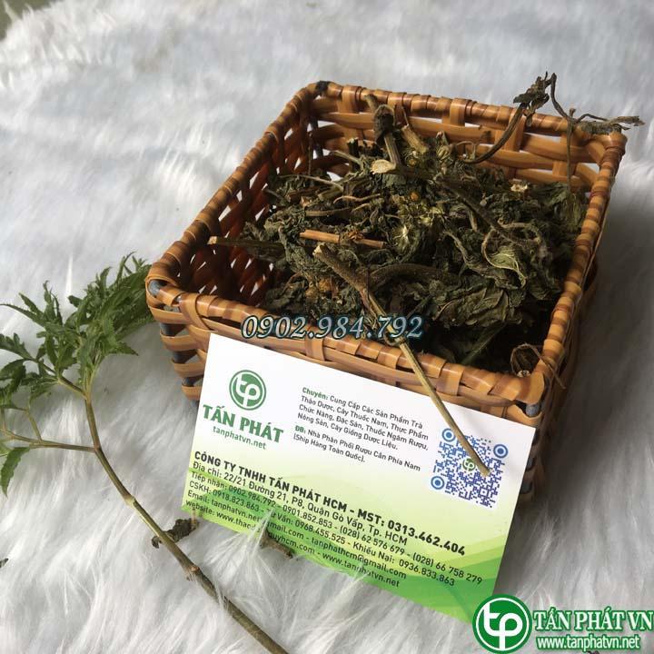 Sản phẩm cây cỏ hôi tại TP.HCM