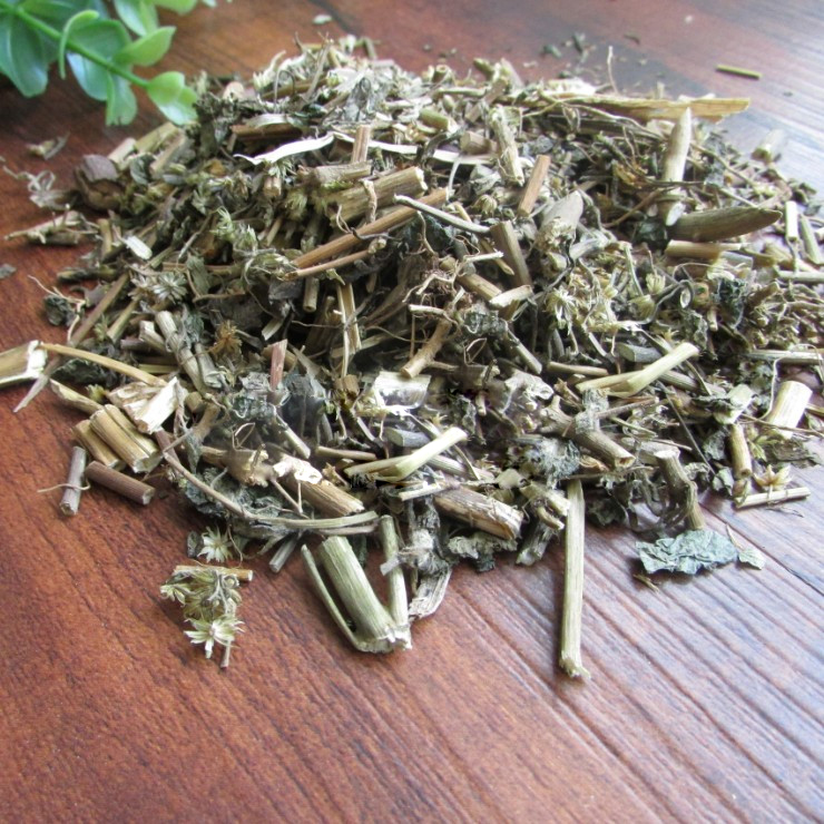 Mua cây cỏ hôi tại HCM ở Tấn Phát