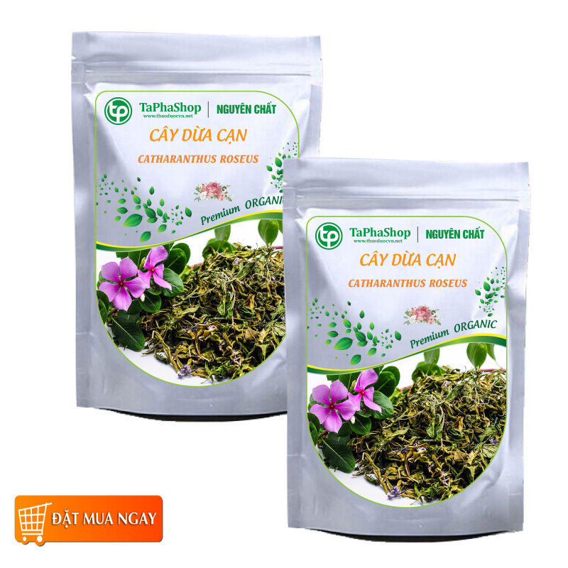 Mua dừa cạn giá rẻ tại HCM