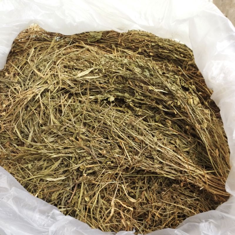 Mần ri khô chất lượng cao