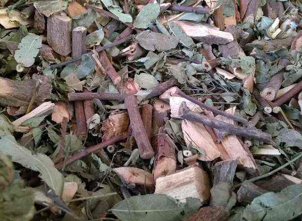 Cây phèn đen chất lượng cao
