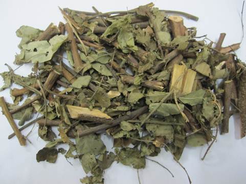 Cây phèn đen tại HCM
