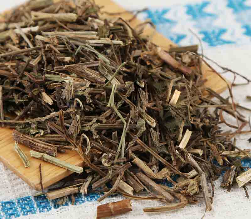 Mua cỏ đuôi chuội tại TP.HCM