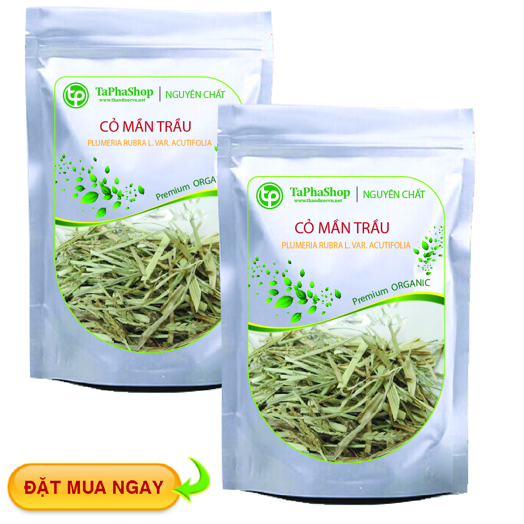 Tấn Phát là địa chỉ bán cỏ mần trầu giá rẻ tại HCM