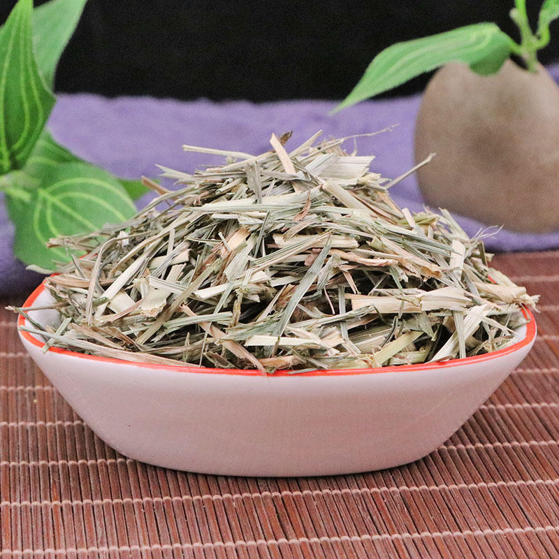 Mua cỏ mần trầu tại TP.HCM