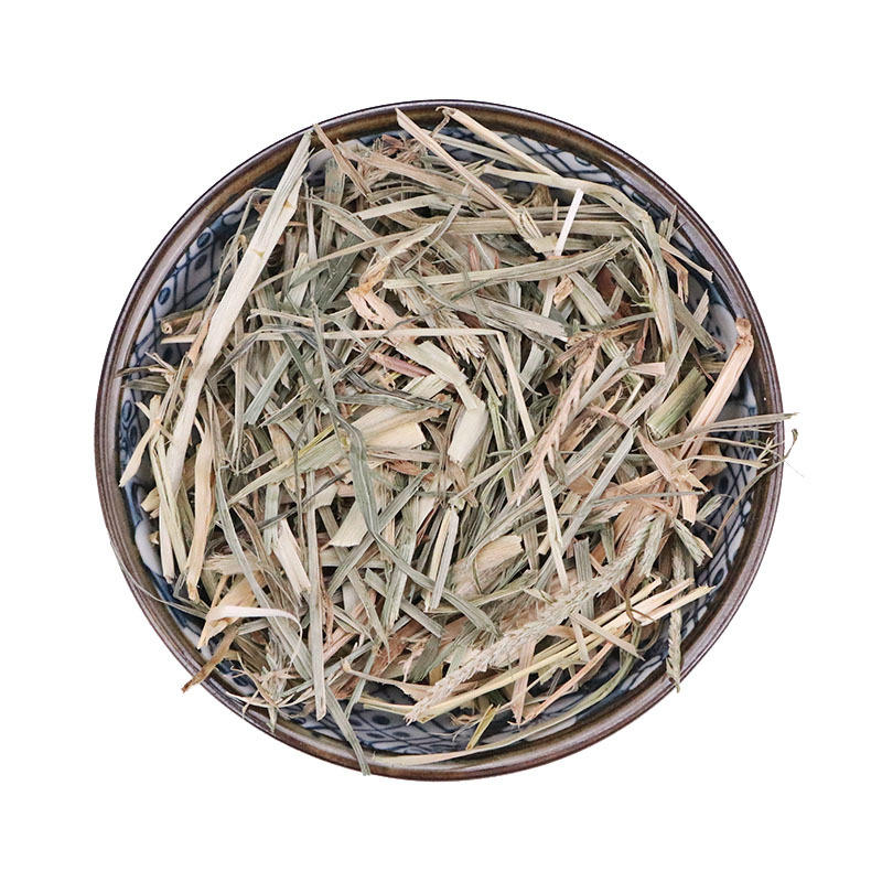Cỏ mần trầu chất lượng cao