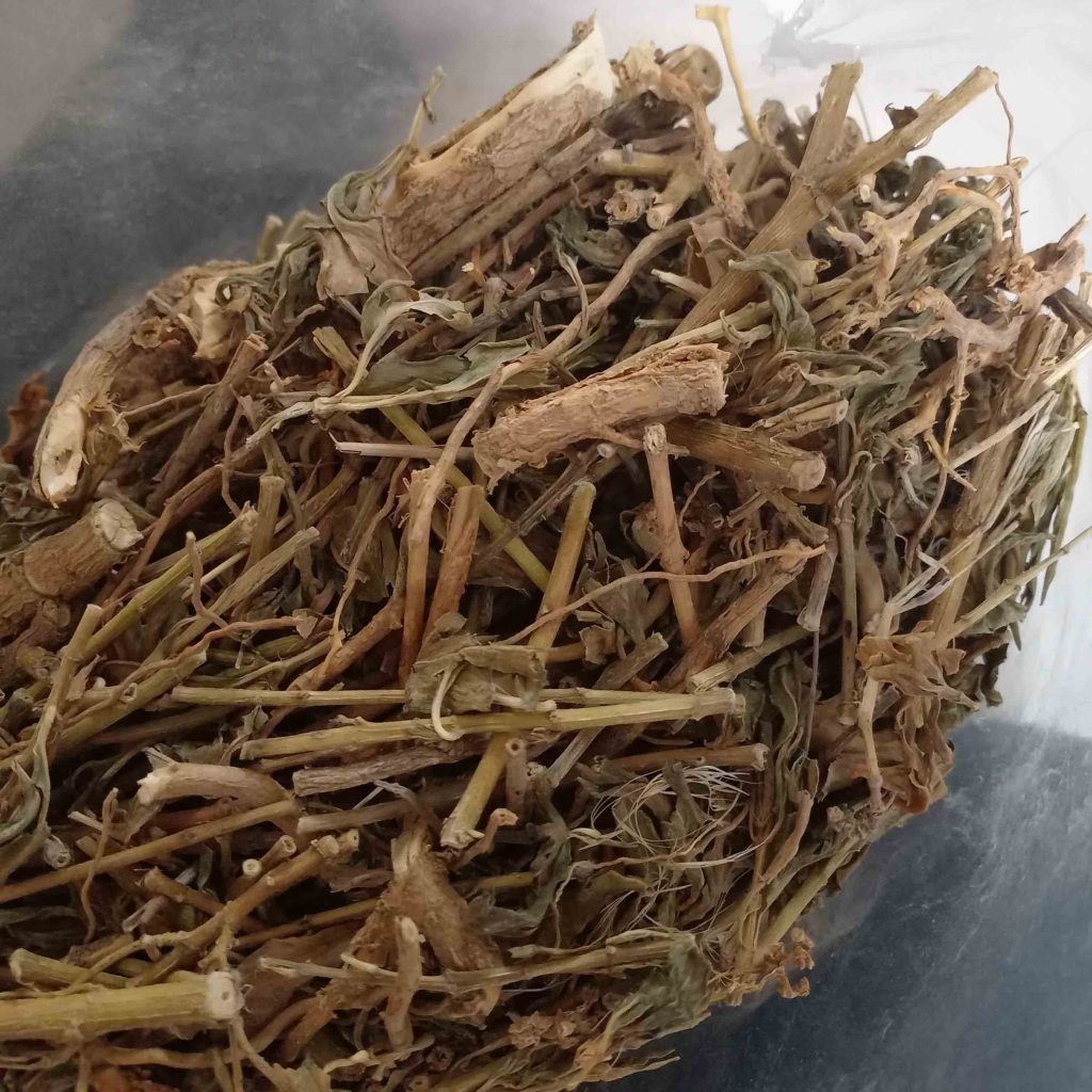 Mua dừa cạn khô tại TP.HCM