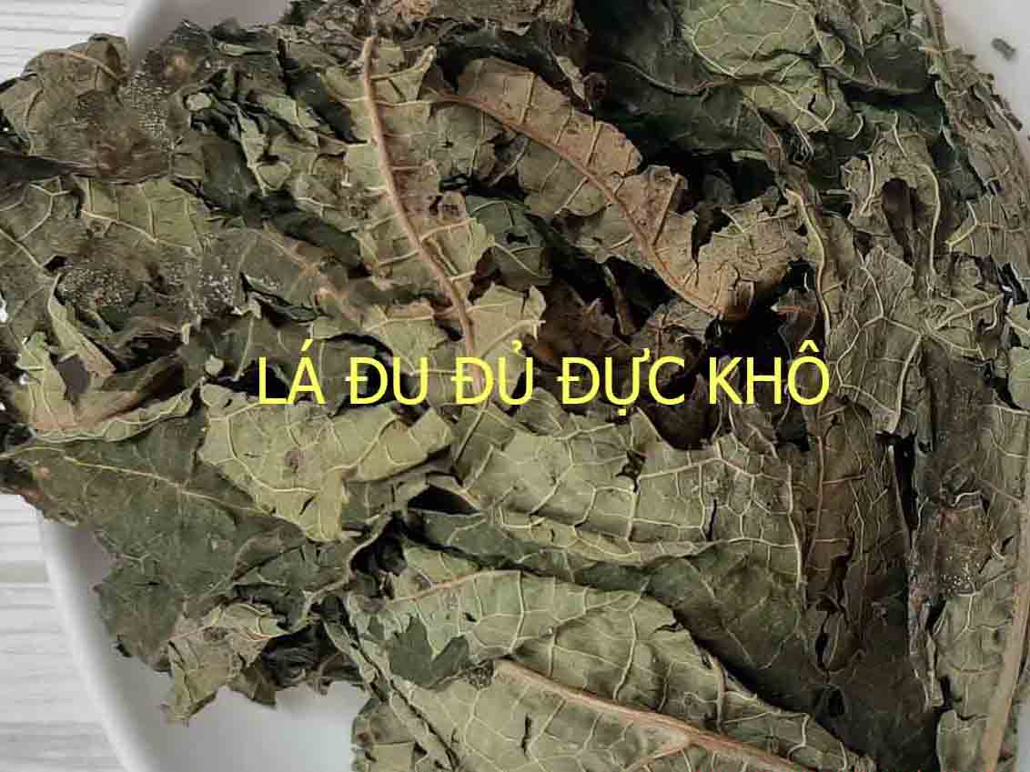 Mua lá đu đủ khô tại TP.HCM