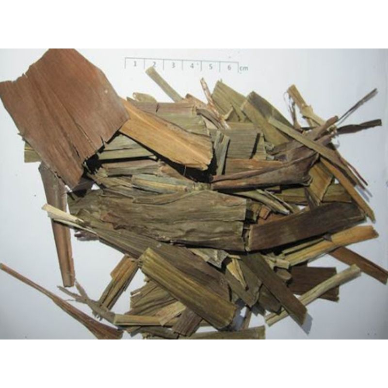 Lá huyết dụ khô chất lượng cao
