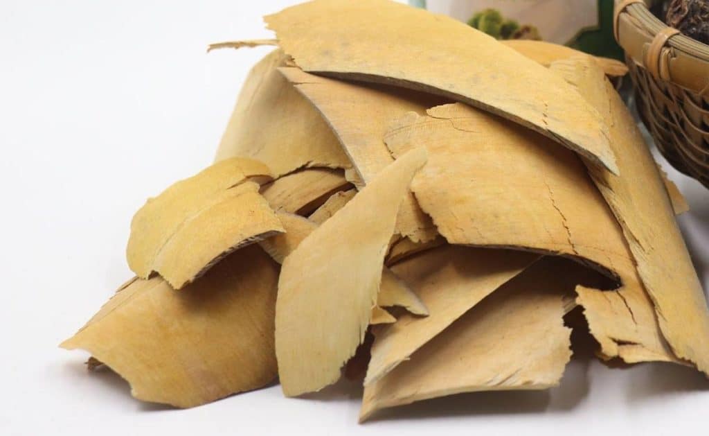 Mua rễ nhàu tại TP.HCM