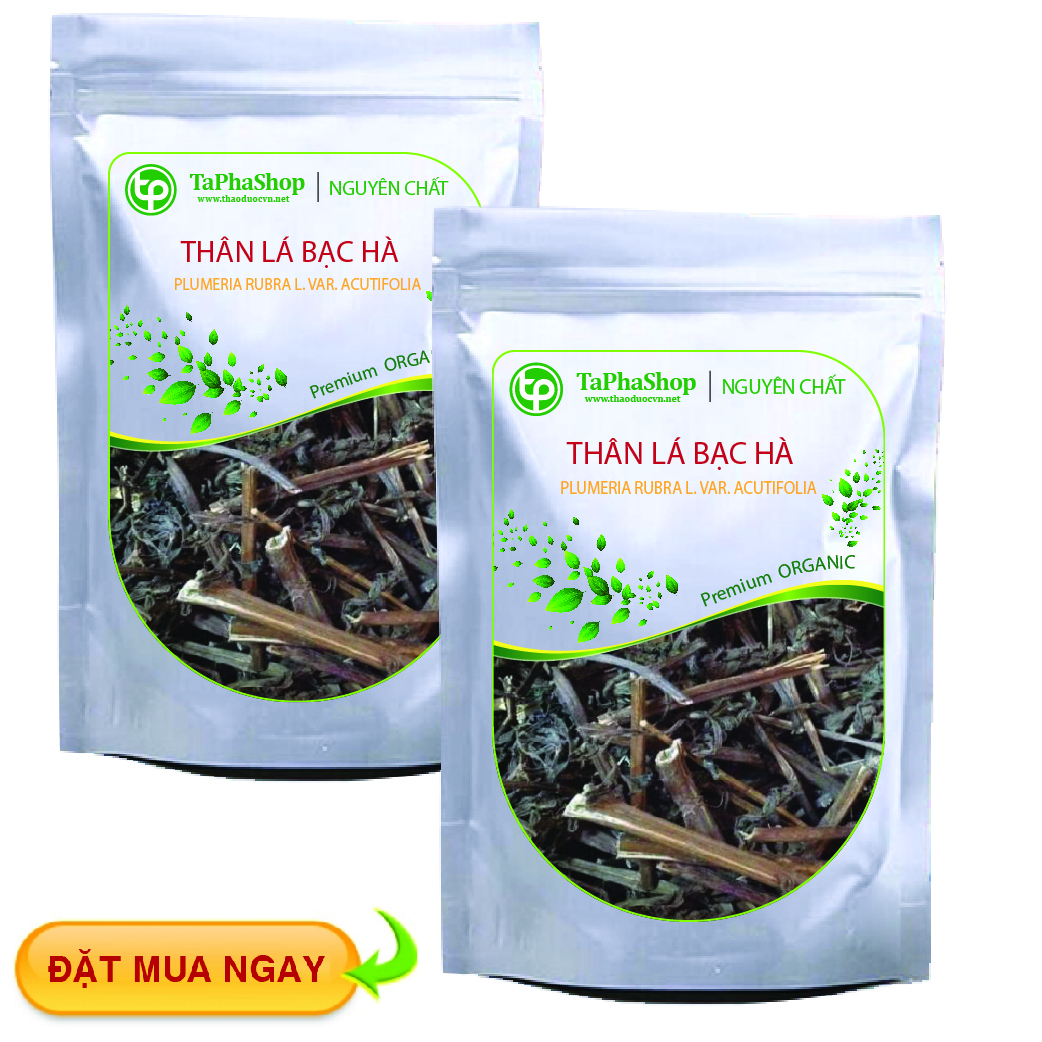 Mua ngay thân lá bạc hà giá rẻ tại HCM