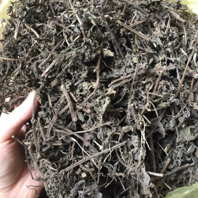 Thân lá bạc hà khô chất lượng cao