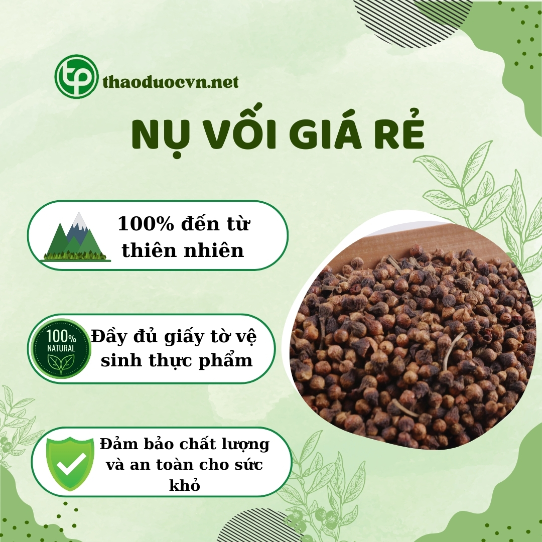 Tấn Phát là địa chỉ bán nụ vối giá rẻ tại TP.HCM