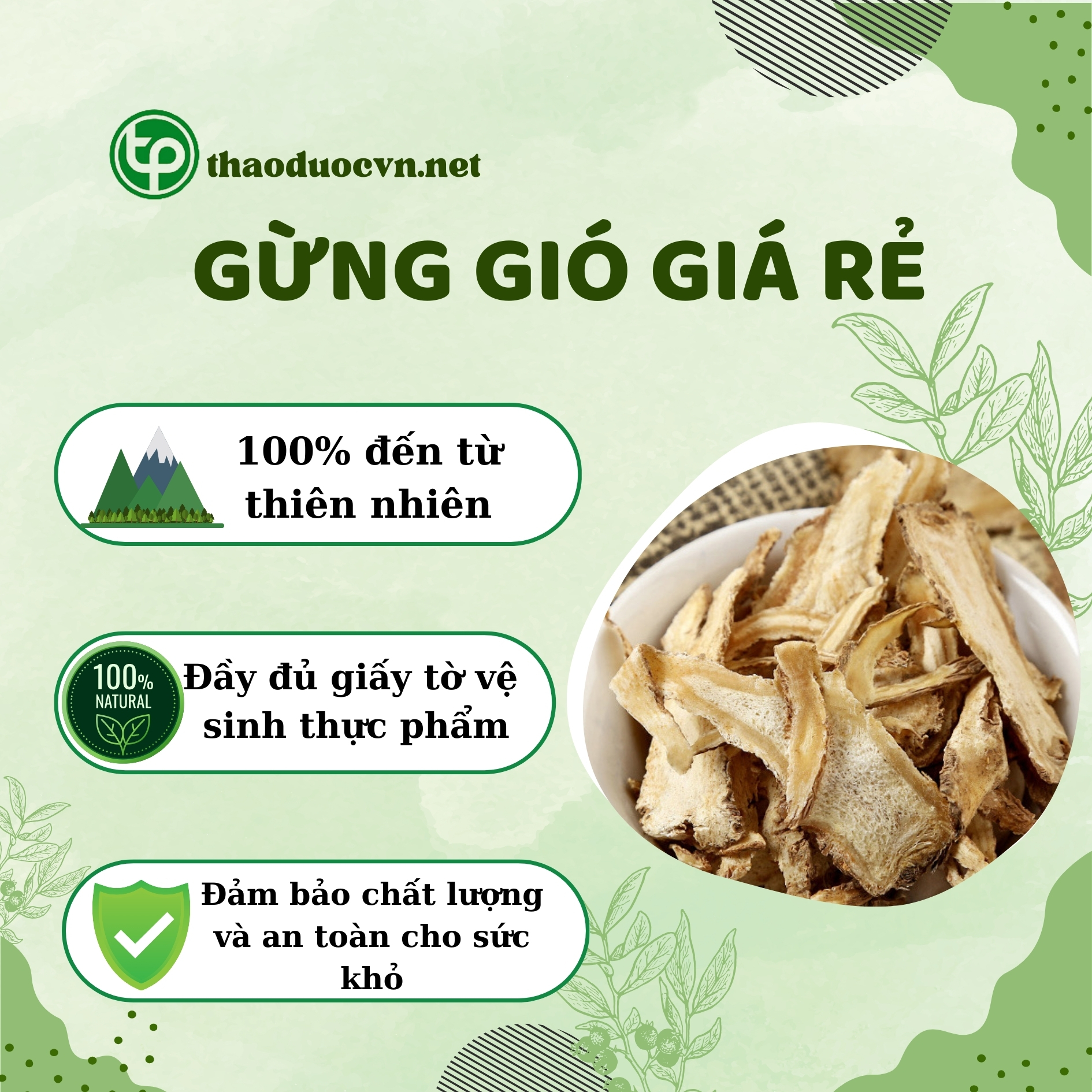 Tấn Phát là địa chỉ bán gừng gió giá rẻ tại TP.HCM