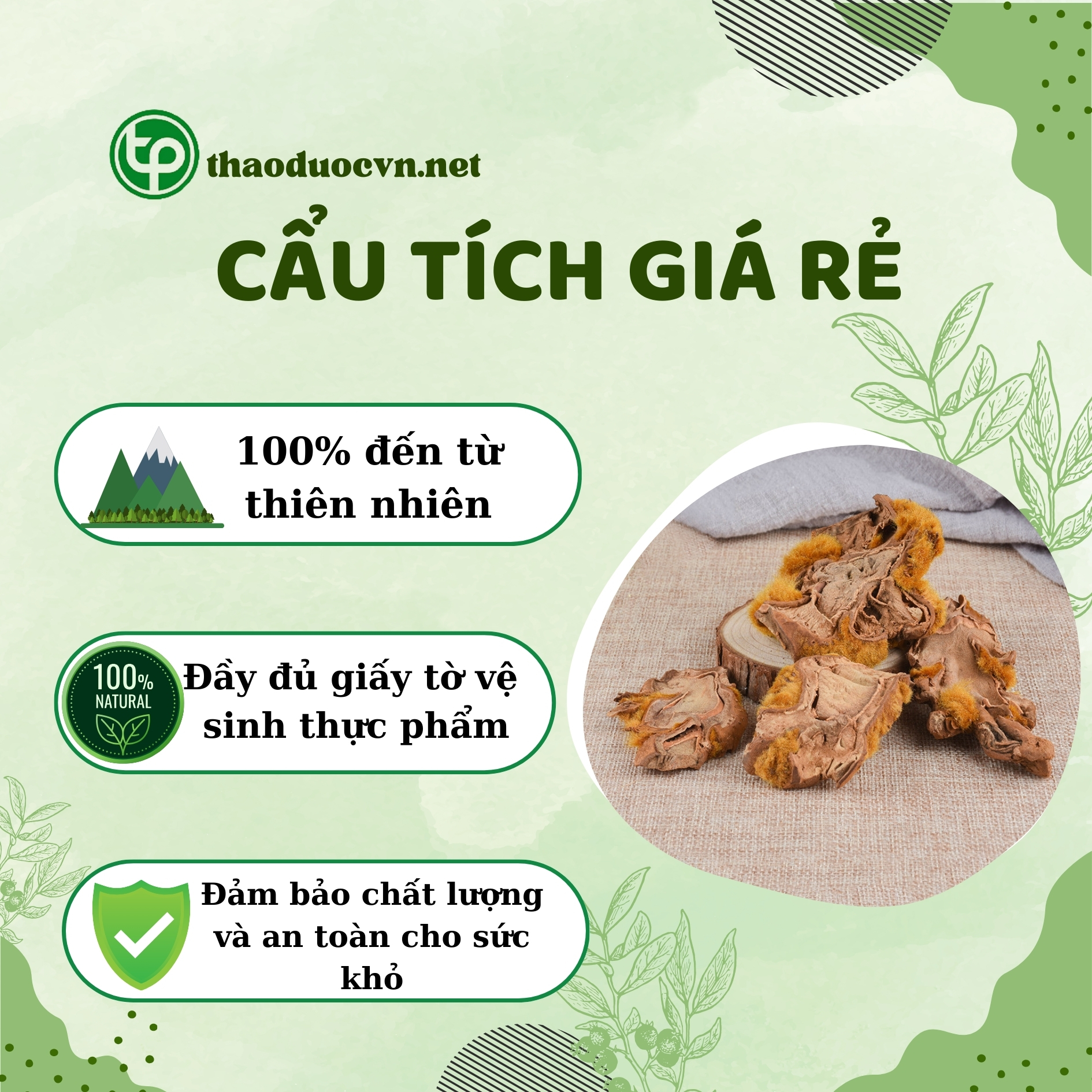 Cam kết khi mua cẩu tích giá rẻ ở Tấn Phát