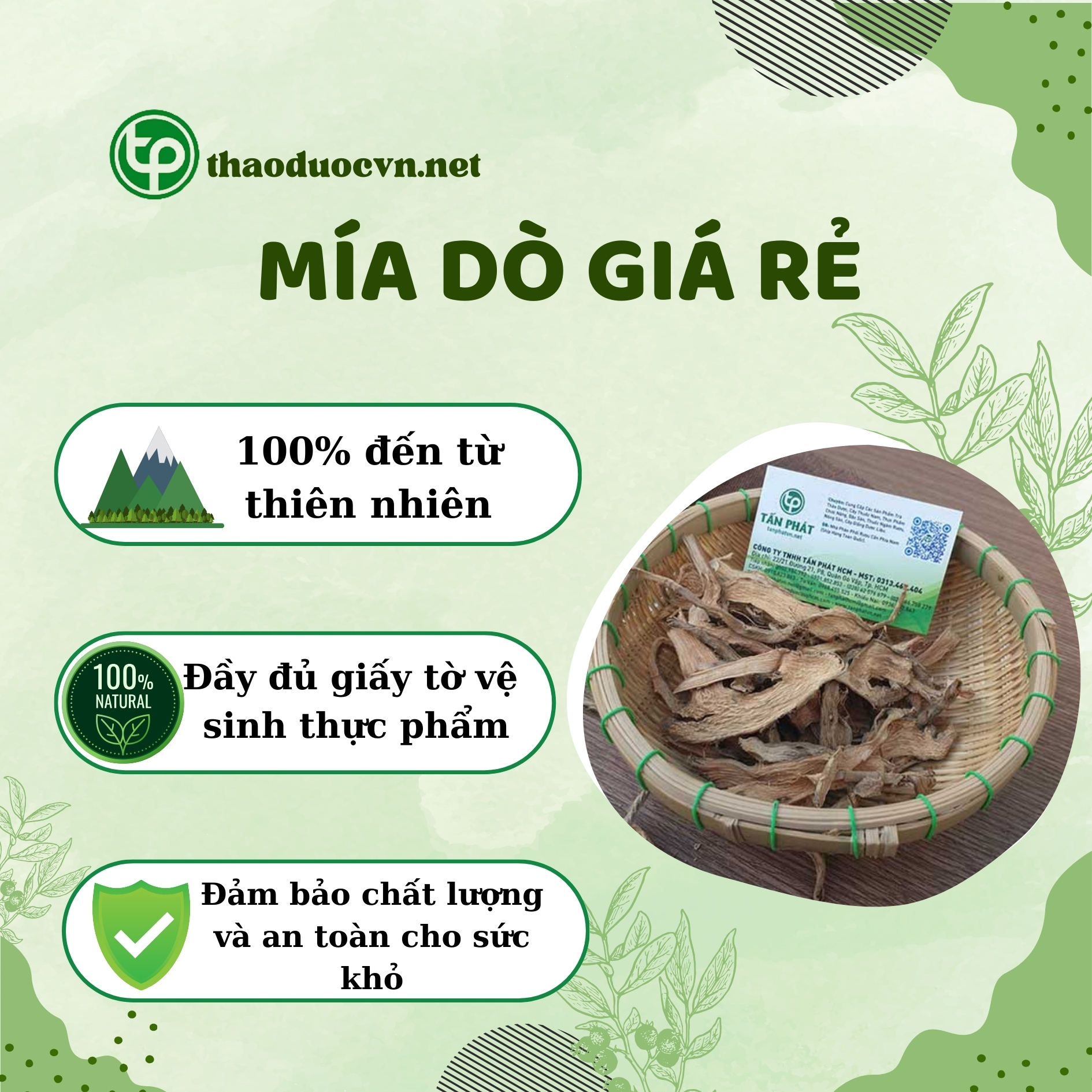 Chính sách ưu đãi khi mua mía dò giá rẻ ở Tấn Phát
