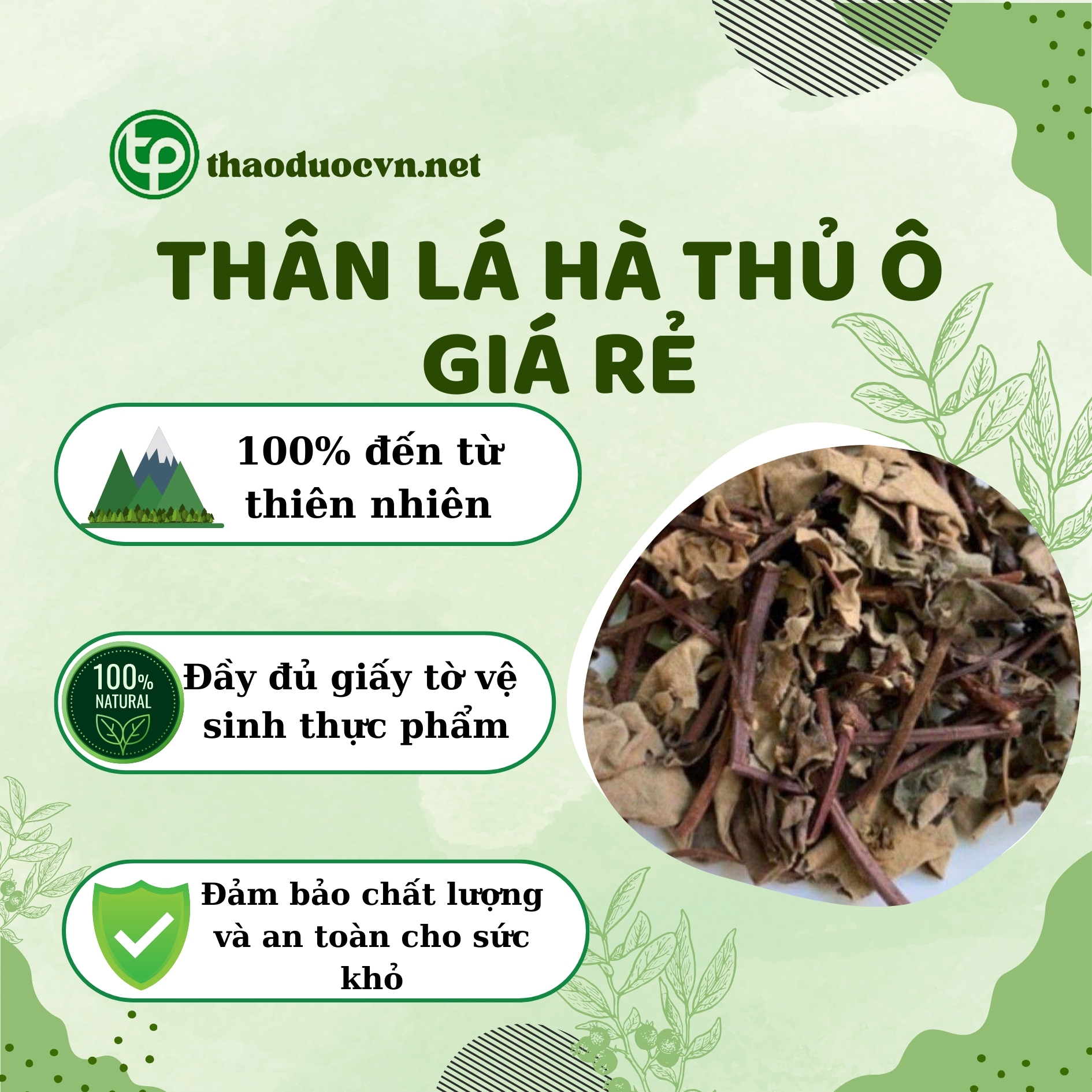 Tấn Phát là địa chỉ bán thân lá hà thủ ô giá rẻ tại TP.HCM