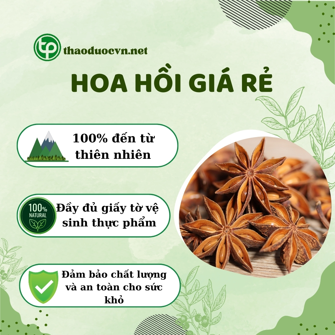 Tấn Phát là địa chỉ bán hoa hồi giá rẻ tại TP.HCM